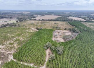 160 Acres Madison FL | Sustainable Timber Income & Trophy Hunting