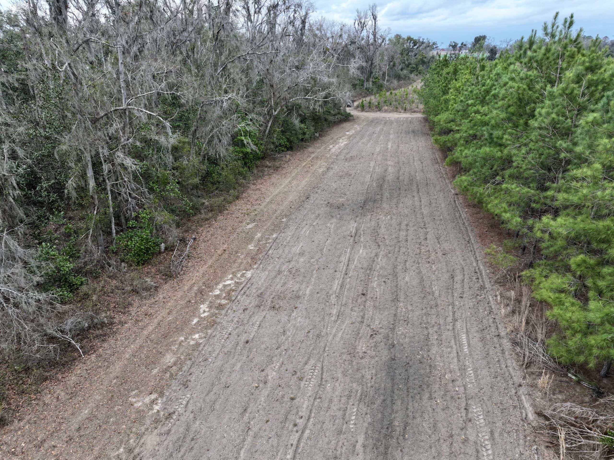 160 Acres Madison FL | Sustainable Timber Income & Trophy Hunting