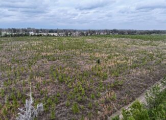160 Acres Madison FL | Sustainable Timber Income & Trophy Hunting