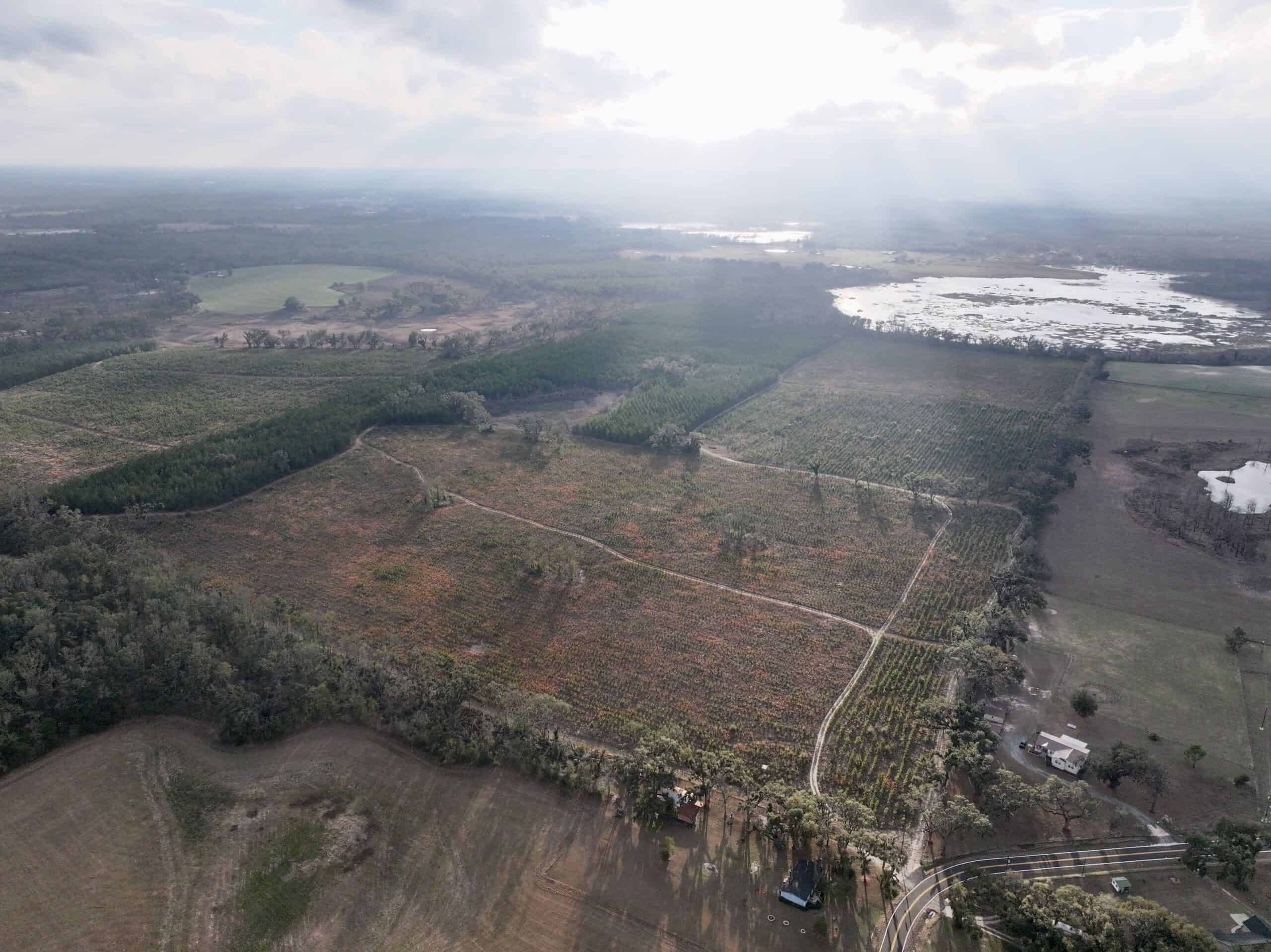 160 Acres Madison FL | Sustainable Timber Income & Trophy Hunting