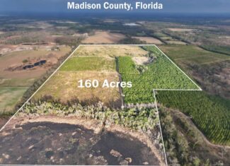 160 Acres Madison FL | Sustainable Timber Income & Trophy Hunting