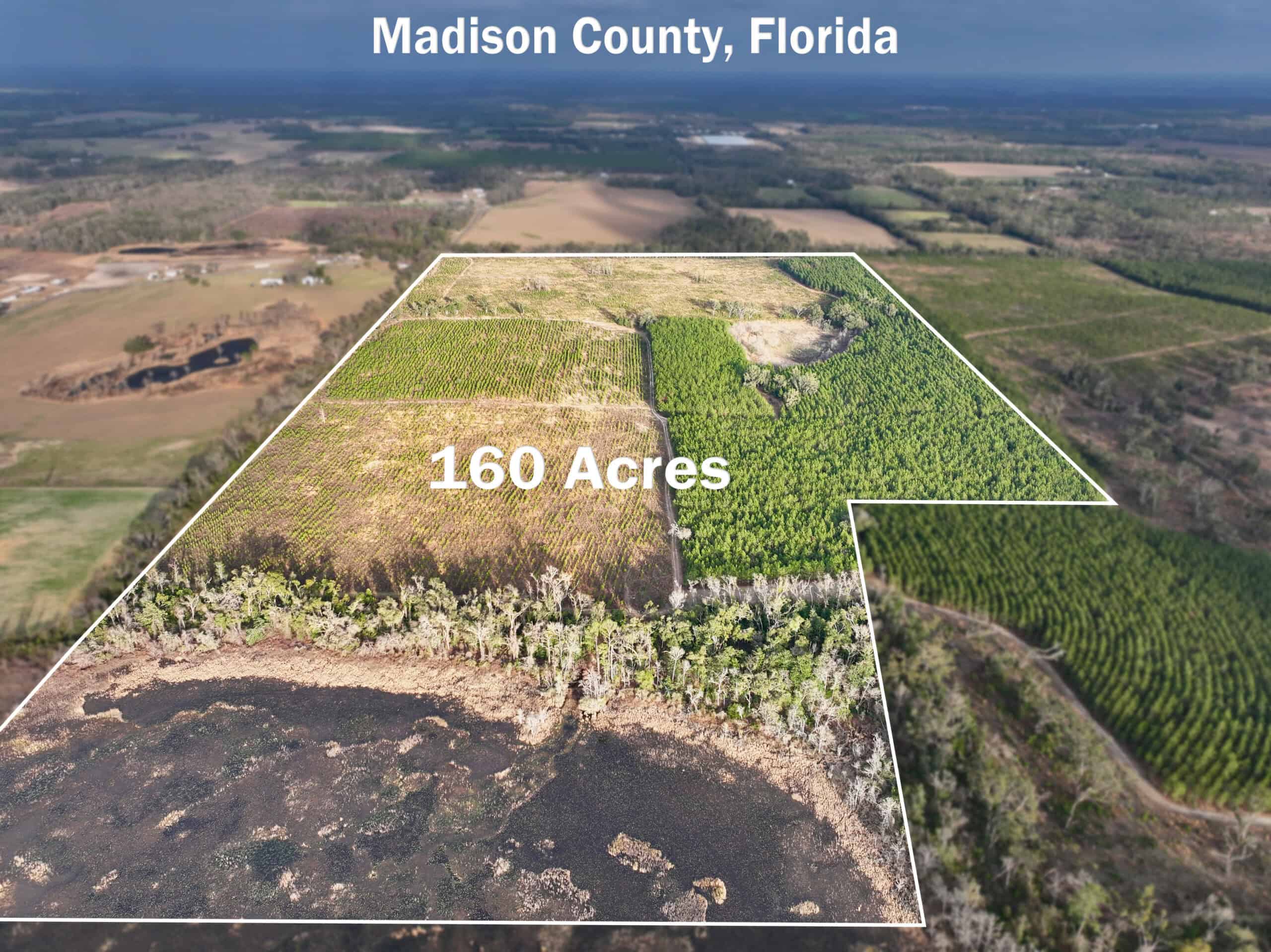 160 Acres Madison FL | Sustainable Timber Income & Trophy Hunting