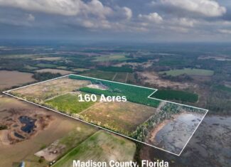 160 Acres Madison FL | Sustainable Timber Income & Trophy Hunting