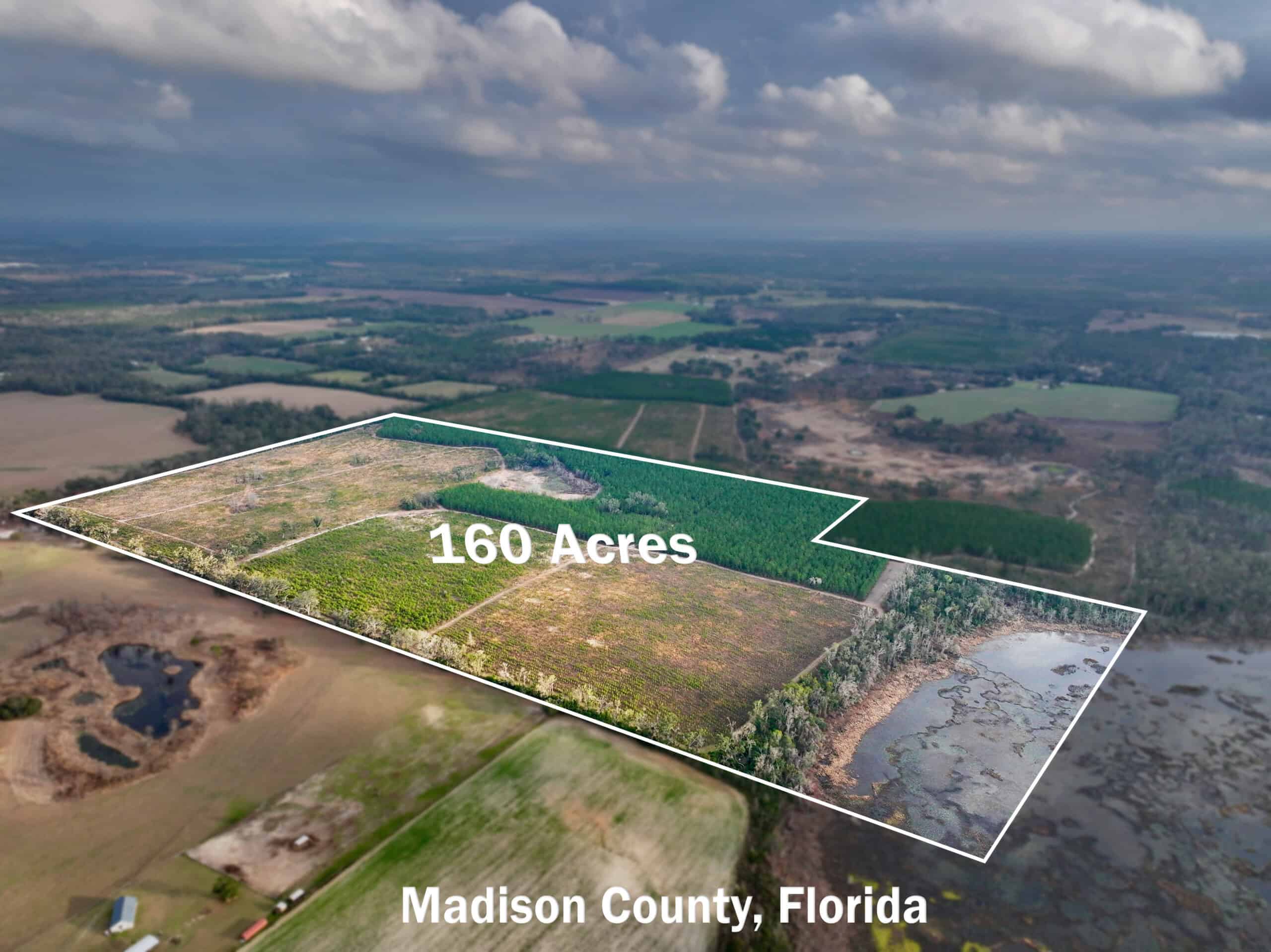 160 Acres Madison FL | Sustainable Timber Income & Trophy Hunting