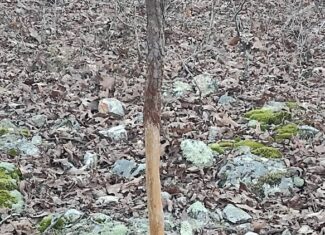 Shannon Cnty Mo Vacant Wooded Hunting Land For Sale near Eminence