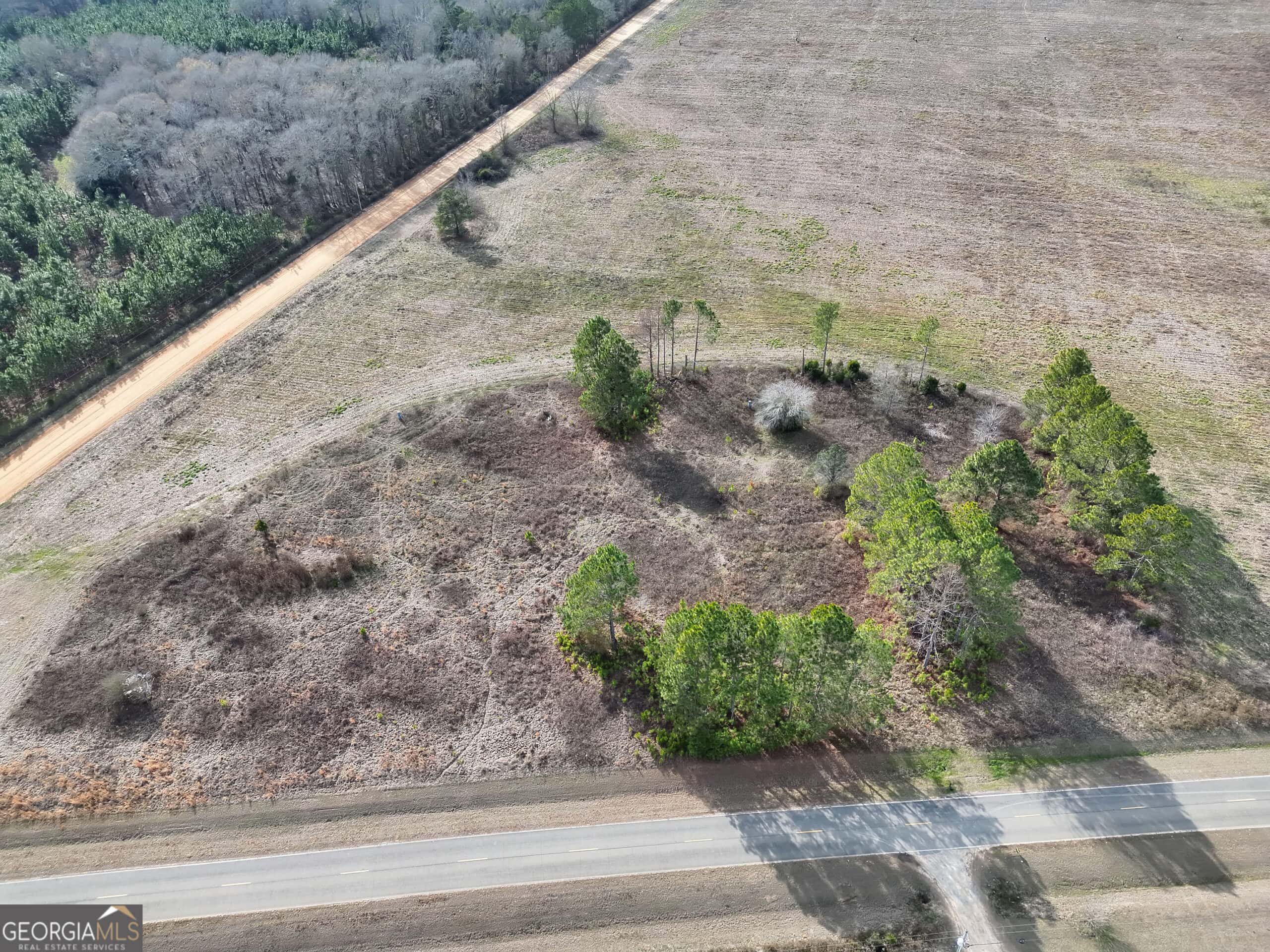 114.62 Acres | Lee County, Georgia Income-Producing Farmland & Hunting Tract