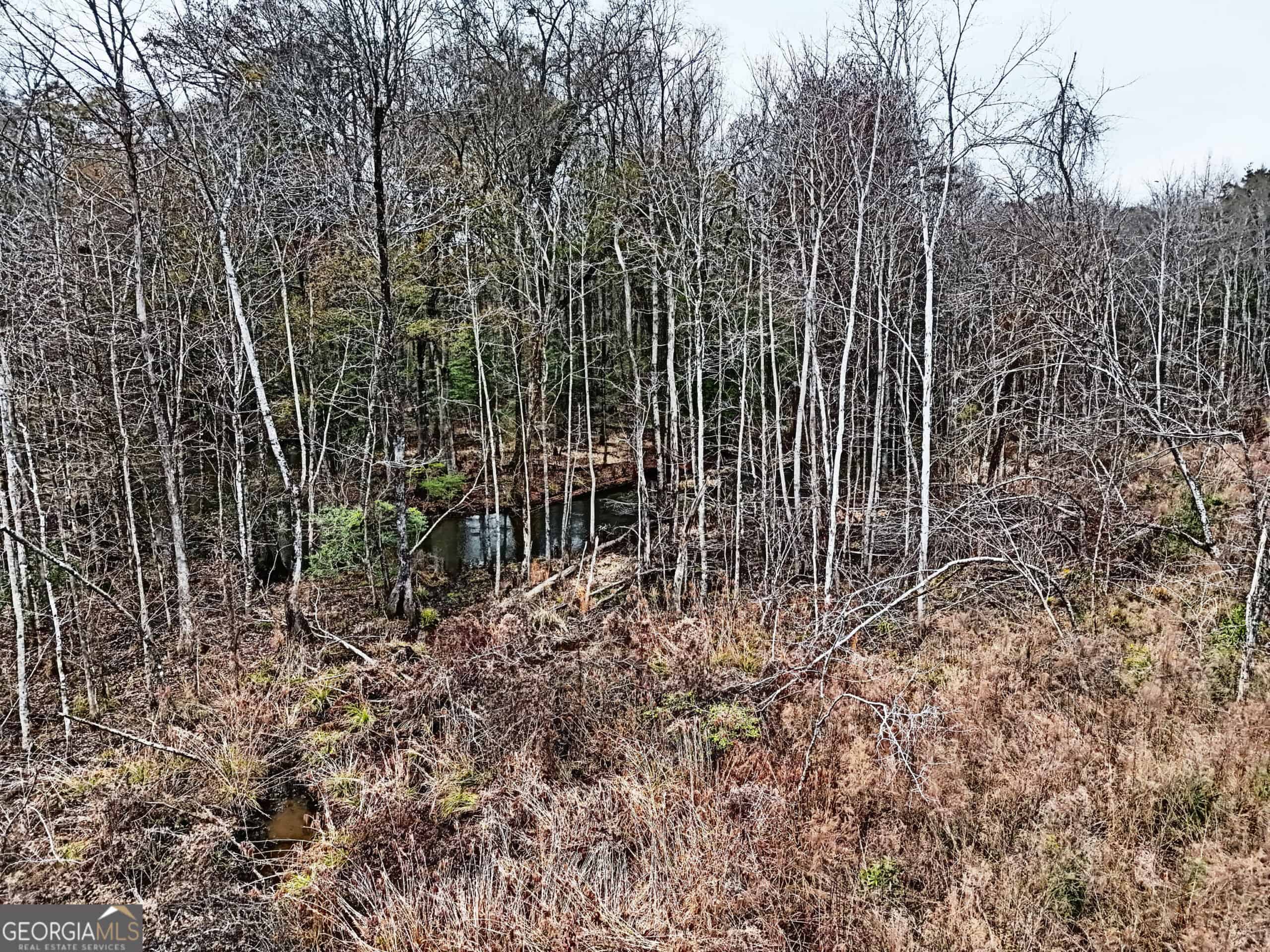 114.62 Acres | Lee County, Georgia Income-Producing Farmland & Hunting Tract
