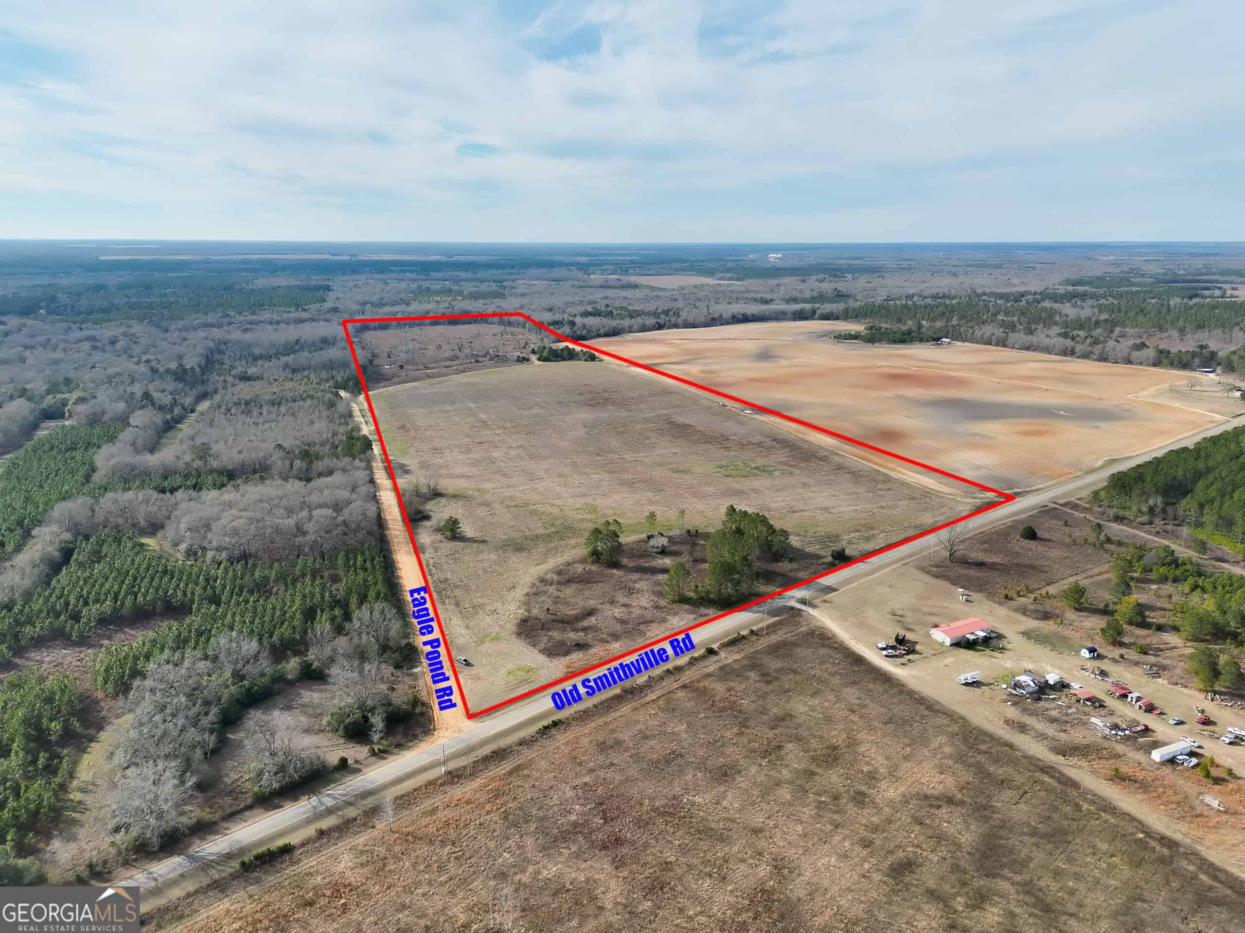114.62 Acres | Lee County, Georgia Income-Producing Farmland & Hunting Tract