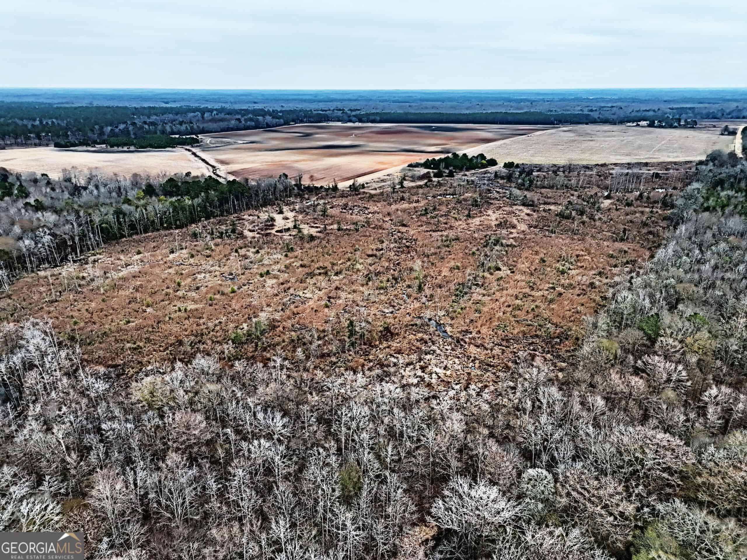 114.62 Acres | Lee County, Georgia Income-Producing Farmland & Hunting Tract