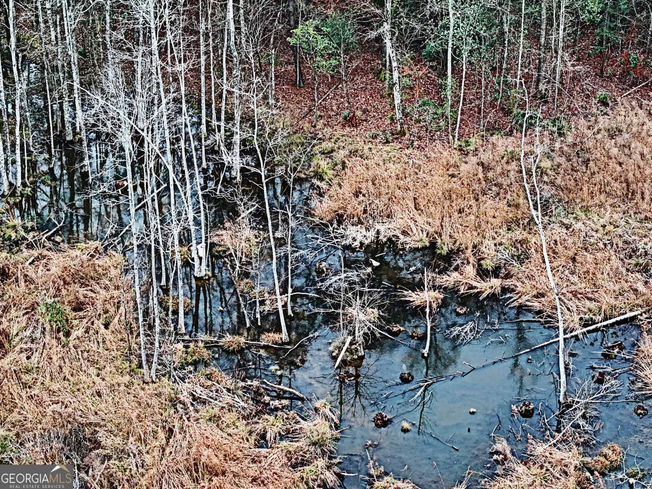 114.62 Acres | Lee County, Georgia Income-Producing Farmland & Hunting Tract