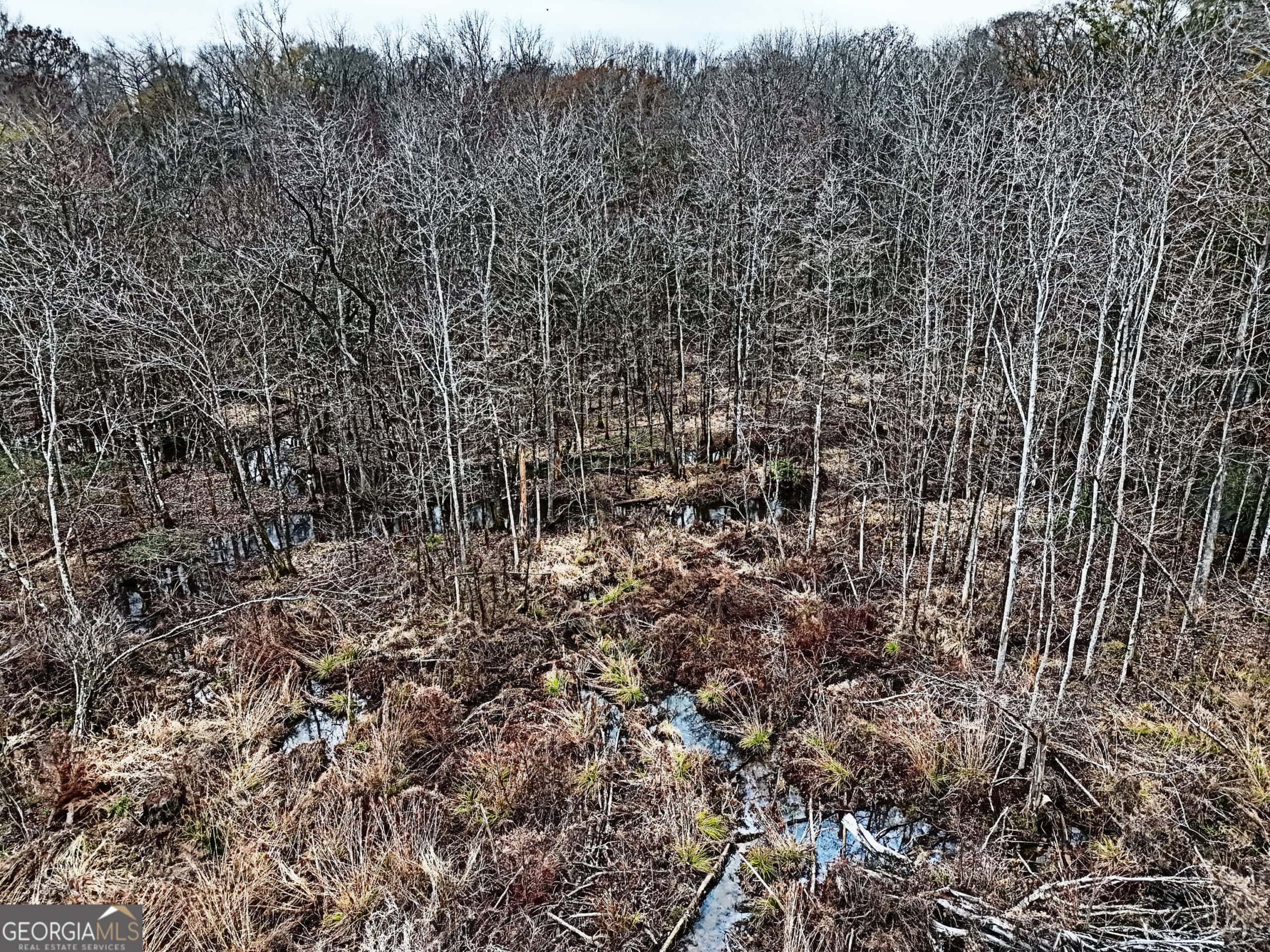 114.62 Acres | Lee County, Georgia Income-Producing Farmland & Hunting Tract