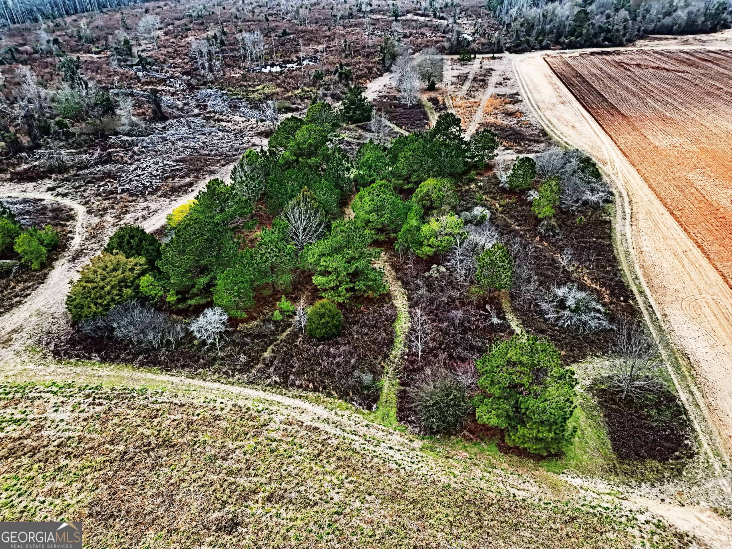 114.62 Acres | Lee County, Georgia Income-Producing Farmland & Hunting Tract