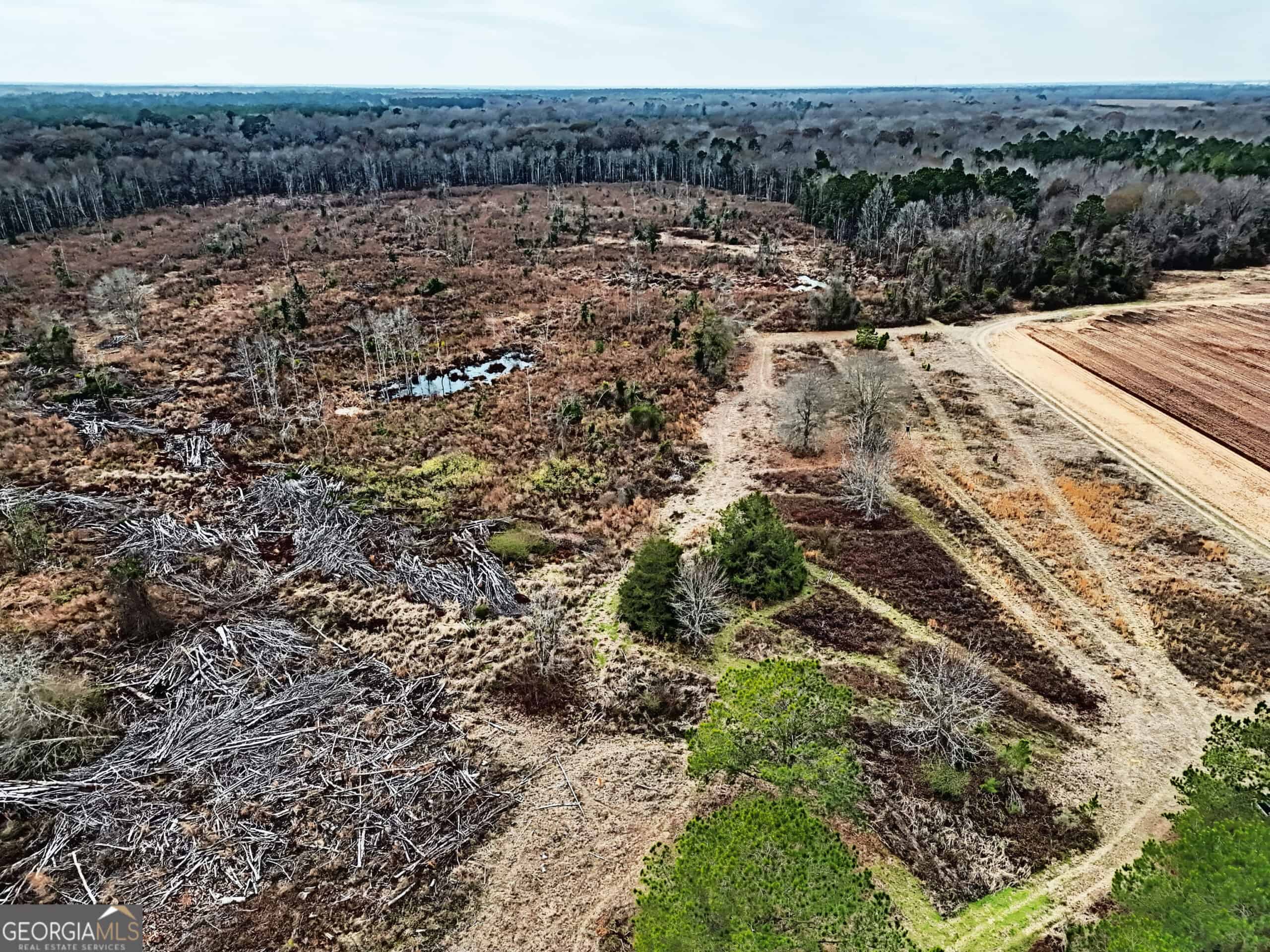 114.62 Acres | Lee County, Georgia Income-Producing Farmland & Hunting Tract