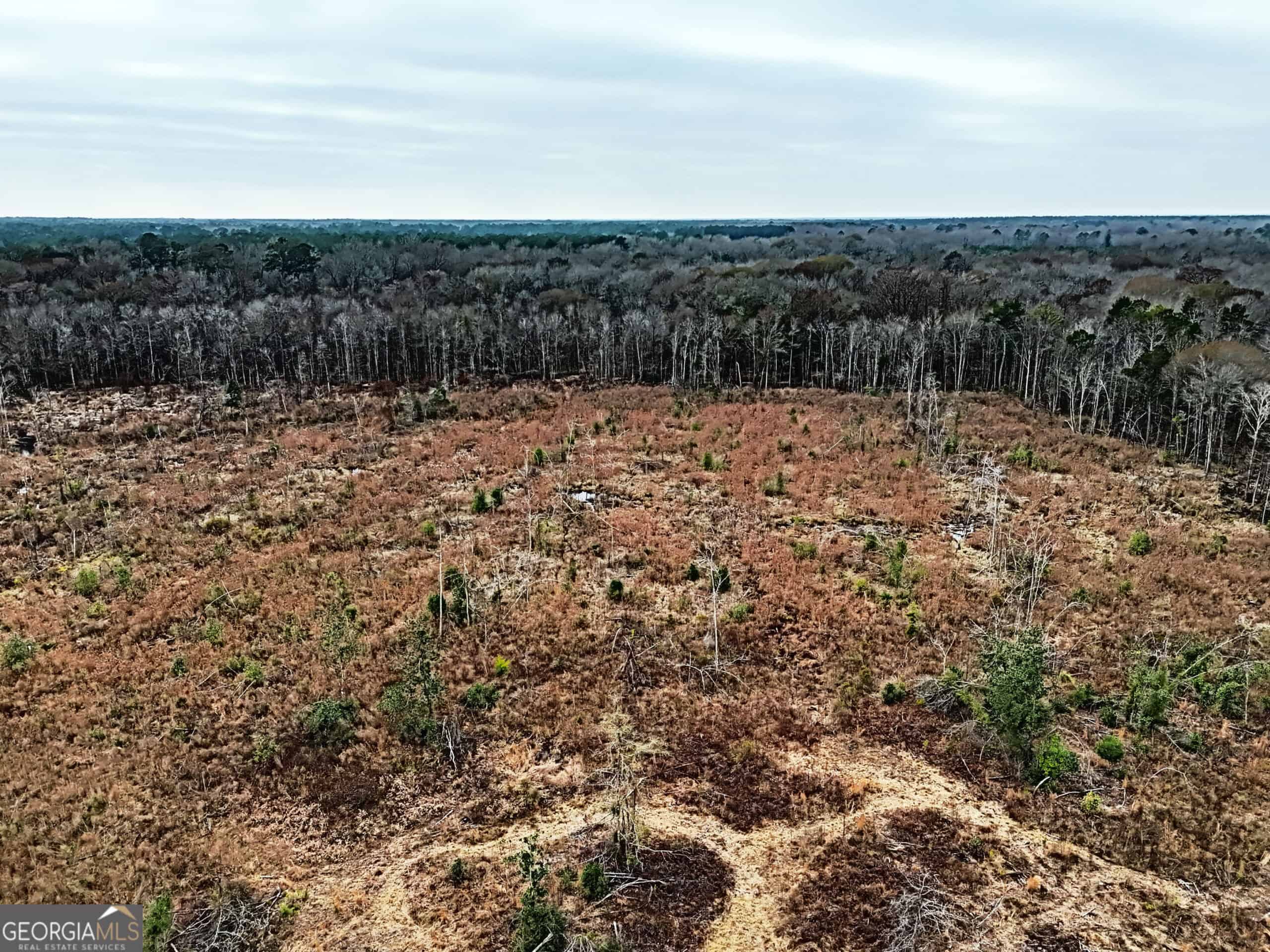114.62 Acres | Lee County, Georgia Income-Producing Farmland & Hunting Tract