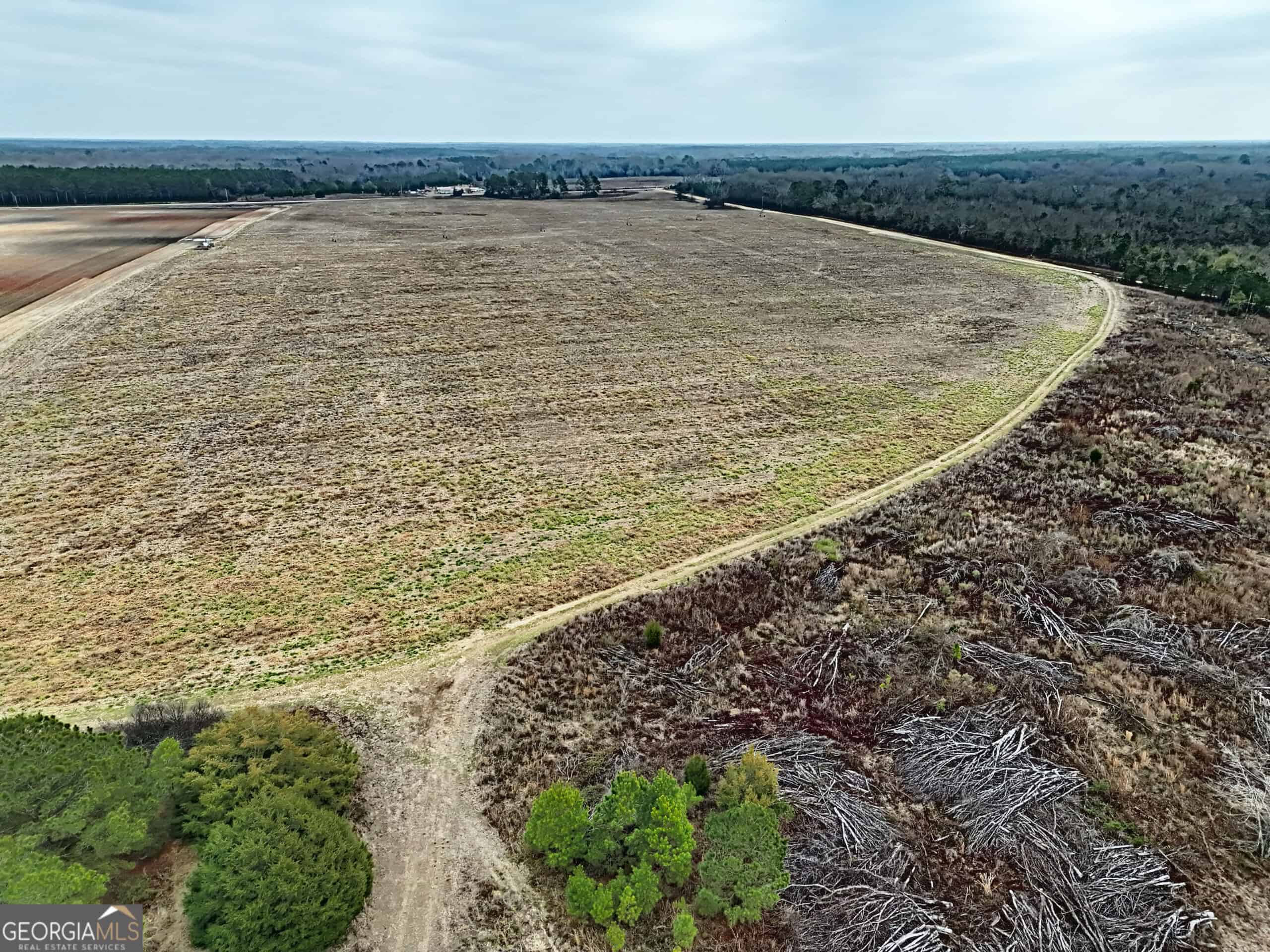 114.62 Acres | Lee County, Georgia Income-Producing Farmland & Hunting Tract
