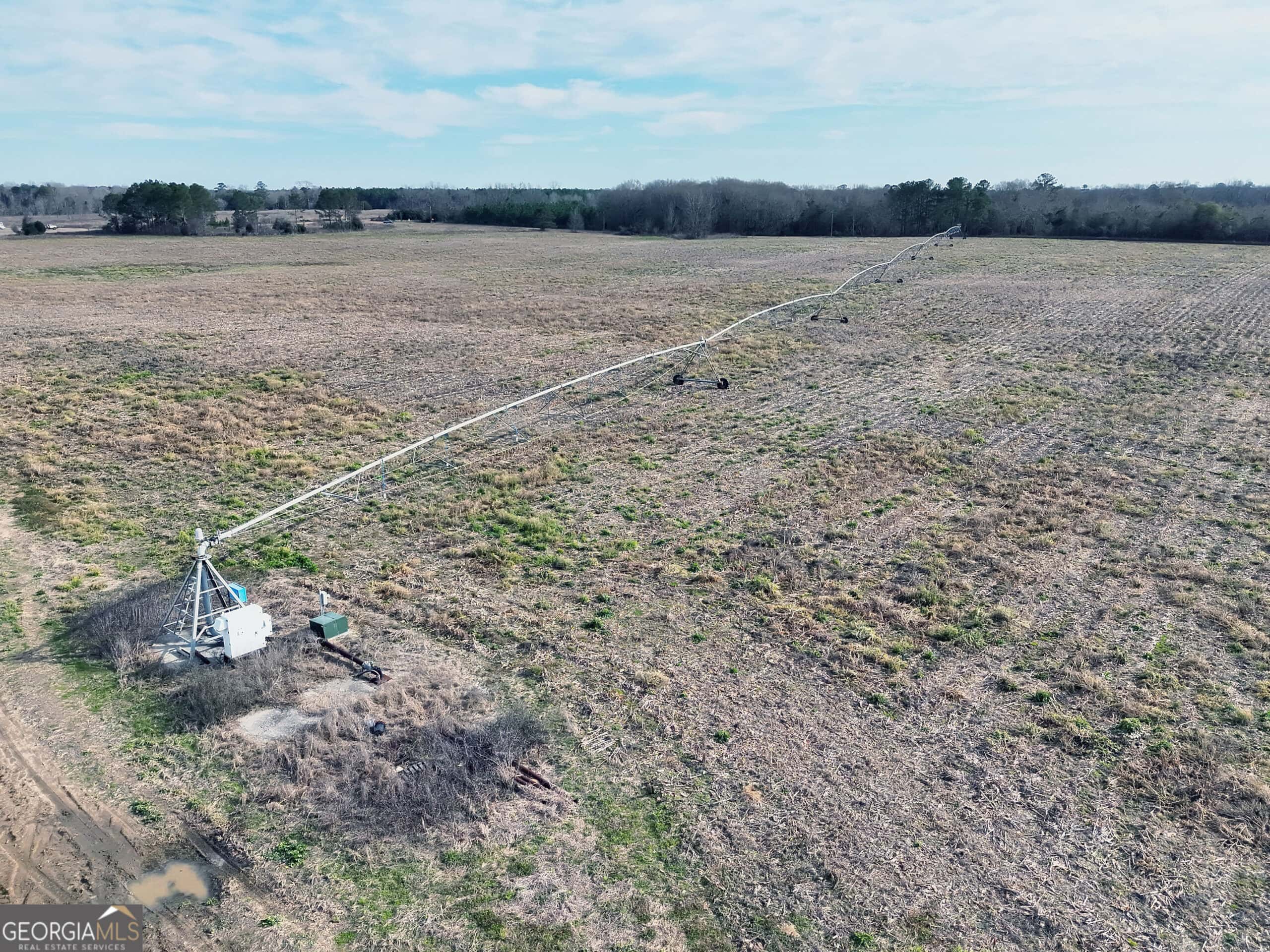 114.62 Acres | Lee County, Georgia Income-Producing Farmland & Hunting Tract