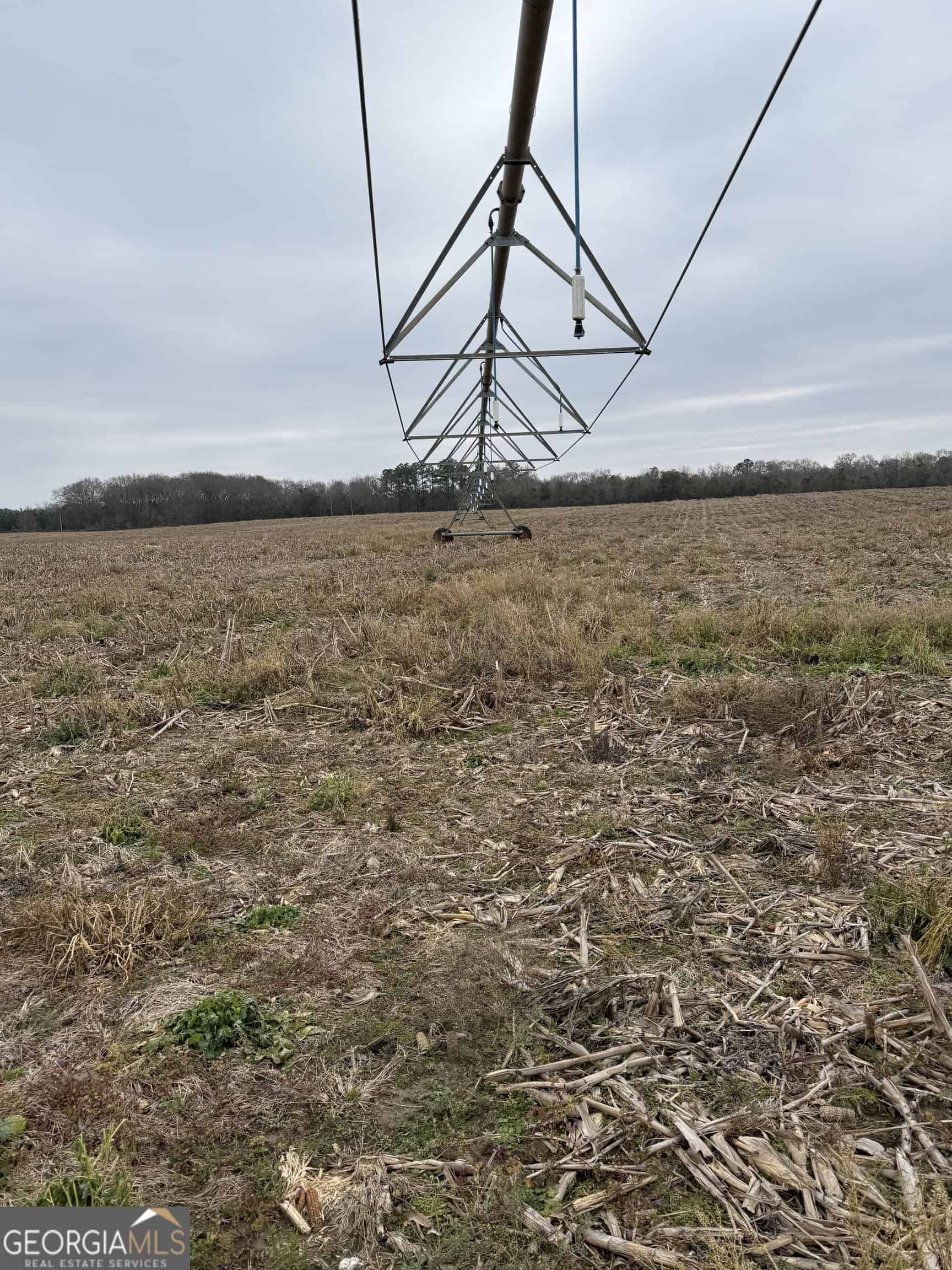 114.62 Acres | Lee County, Georgia Income-Producing Farmland & Hunting Tract