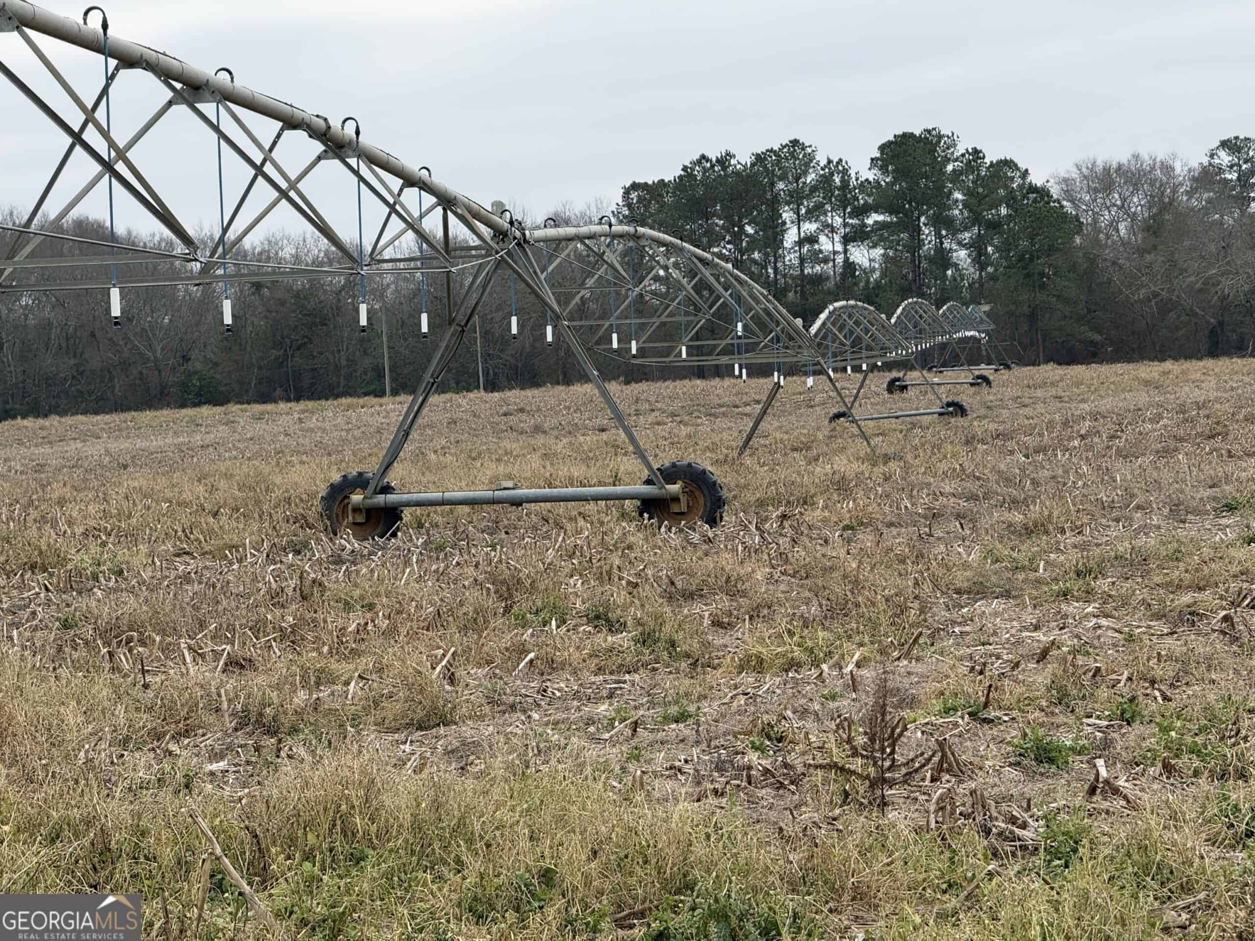 114.62 Acres | Lee County, Georgia Income-Producing Farmland & Hunting Tract