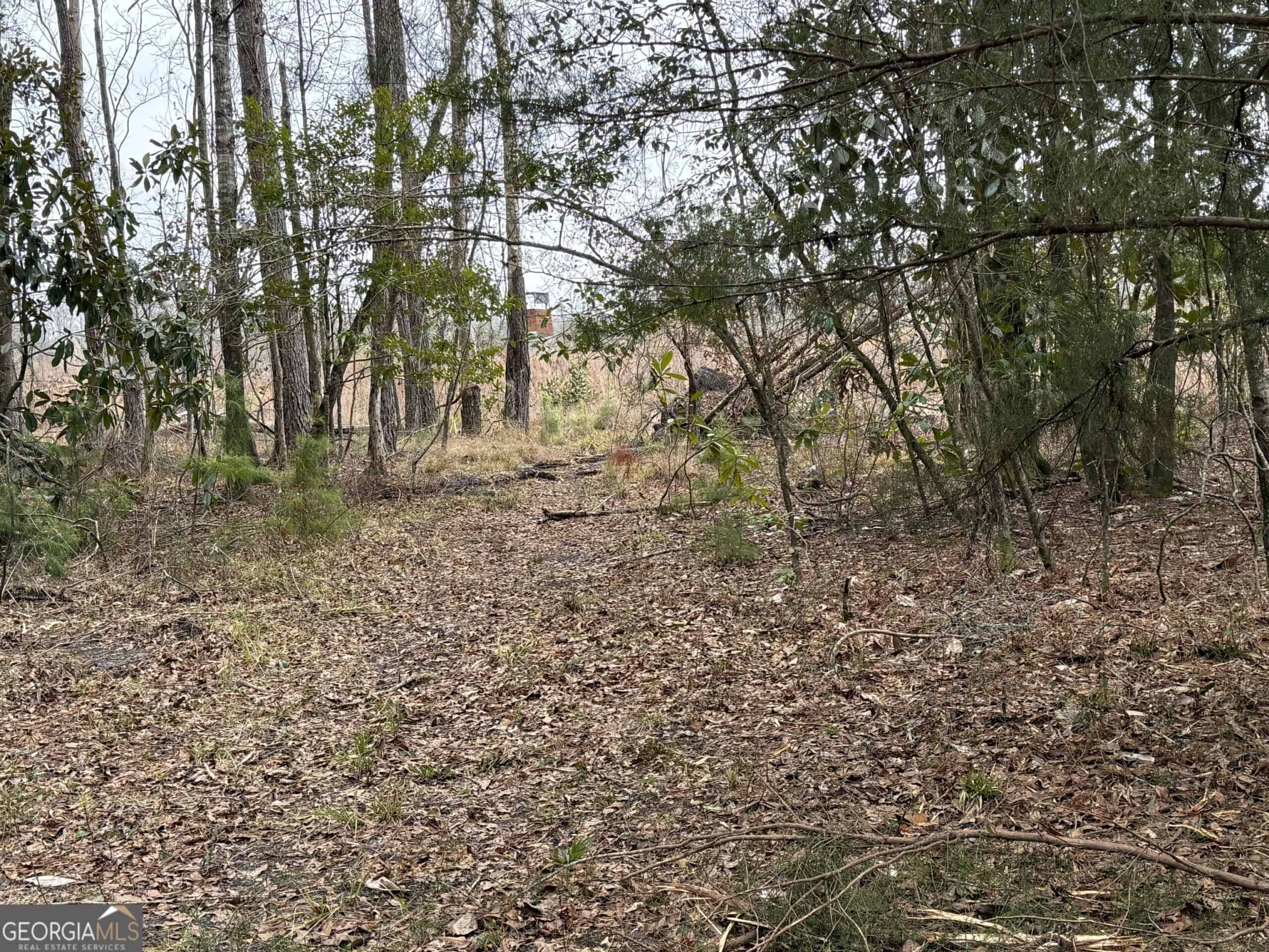 114.62 Acres | Lee County, Georgia Income-Producing Farmland & Hunting Tract