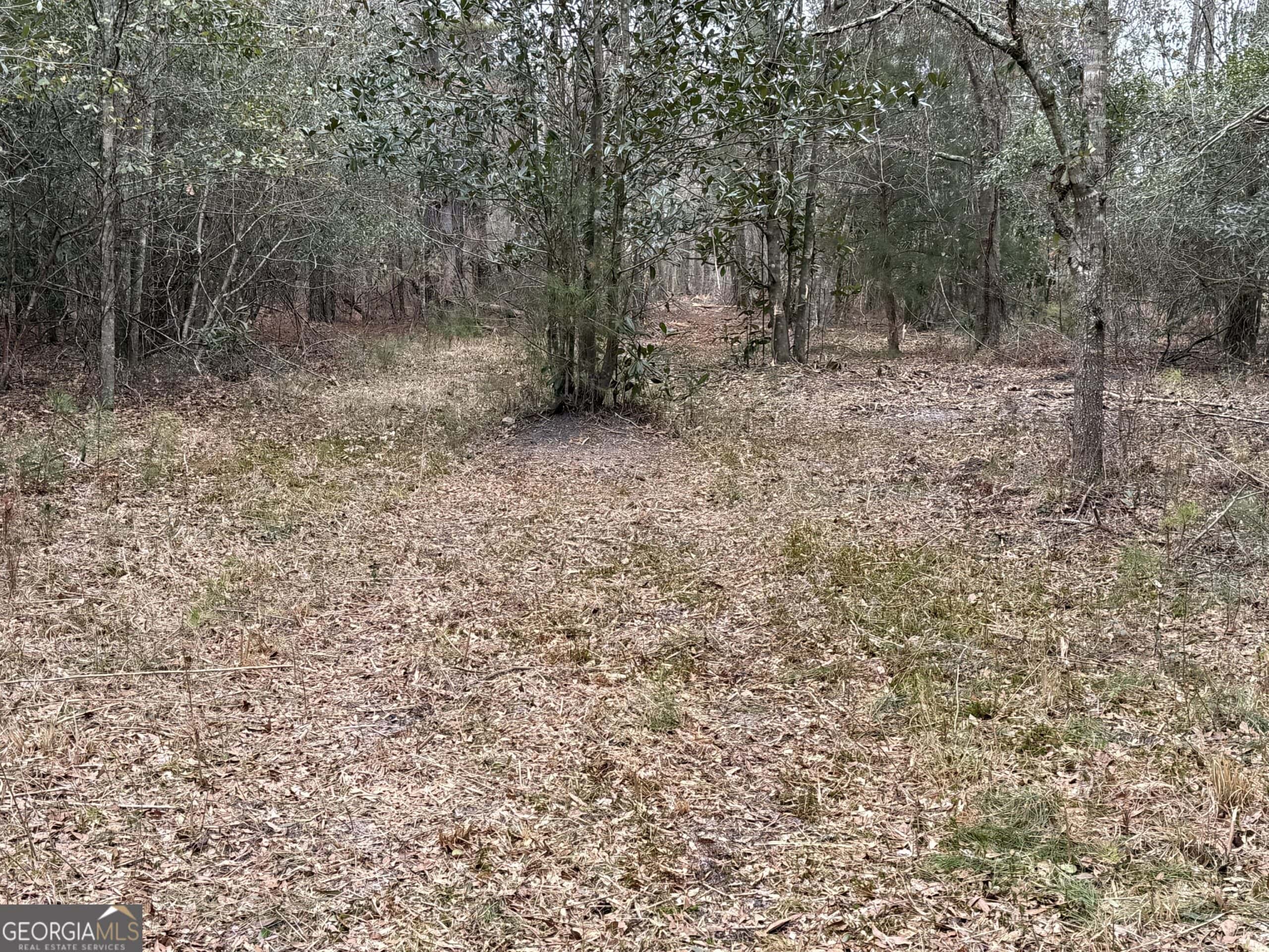 114.62 Acres | Lee County, Georgia Income-Producing Farmland & Hunting Tract
