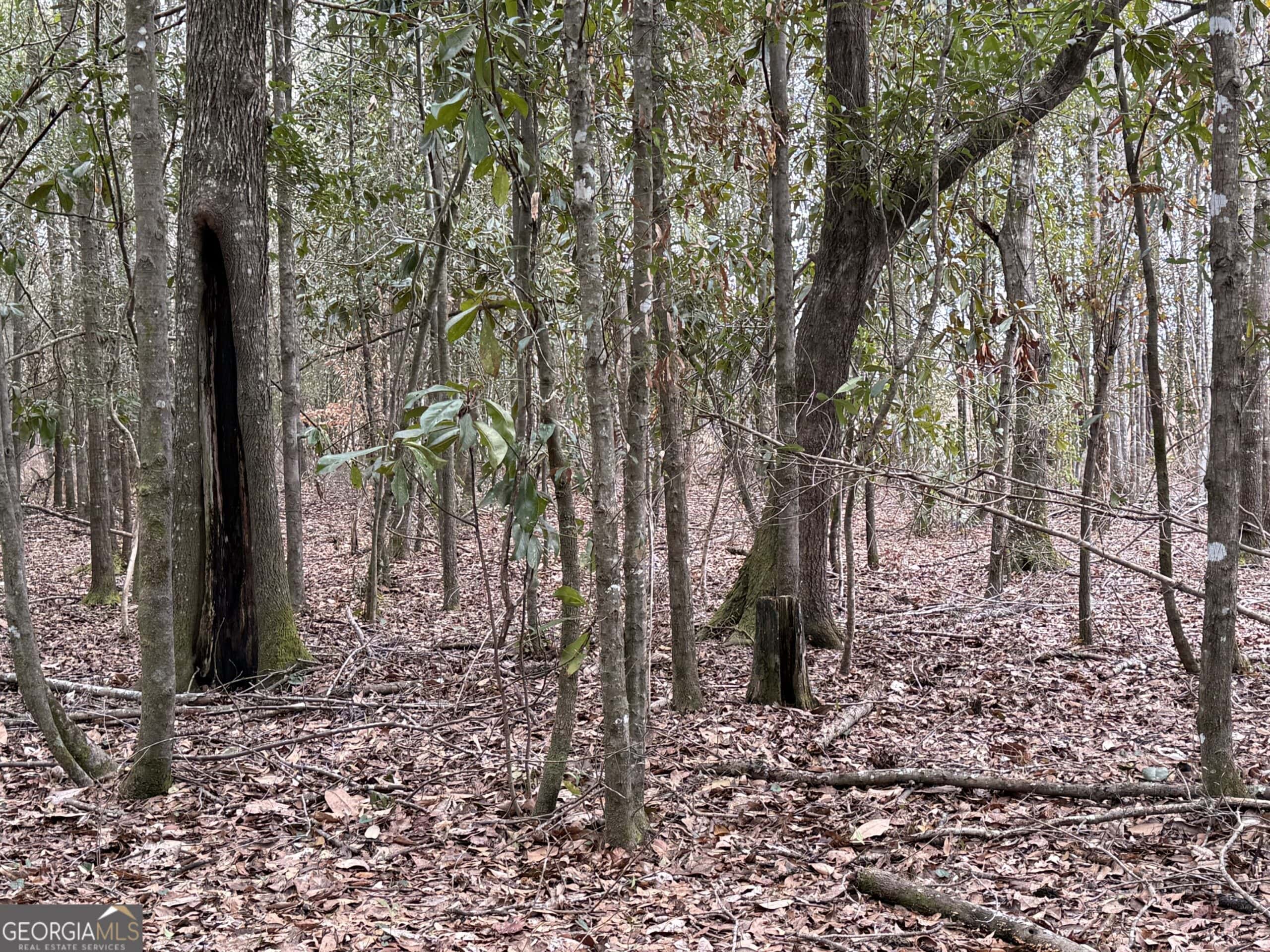 114.62 Acres | Lee County, Georgia Income-Producing Farmland & Hunting Tract
