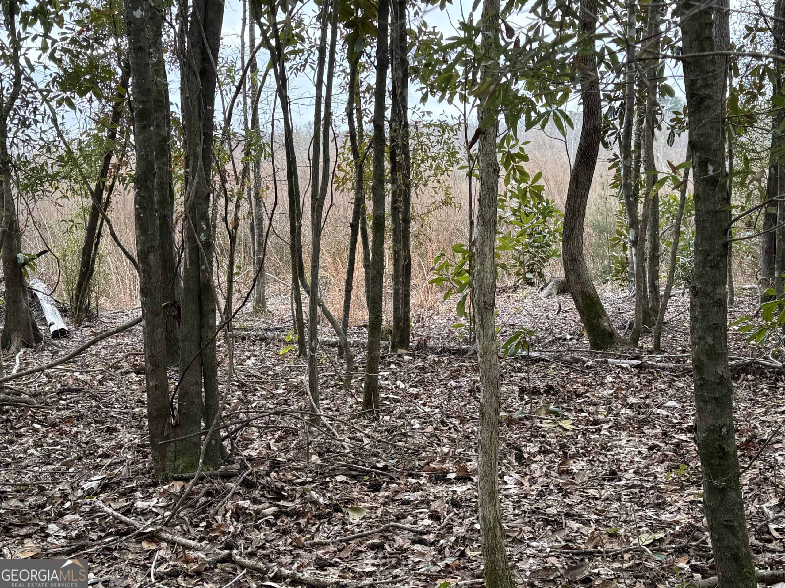 114.62 Acres | Lee County, Georgia Income-Producing Farmland & Hunting Tract