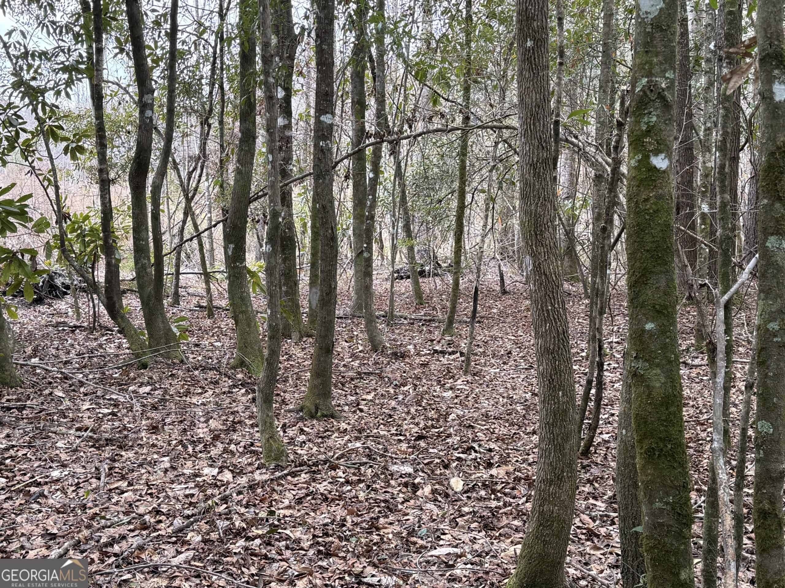 114.62 Acres | Lee County, Georgia Income-Producing Farmland & Hunting Tract