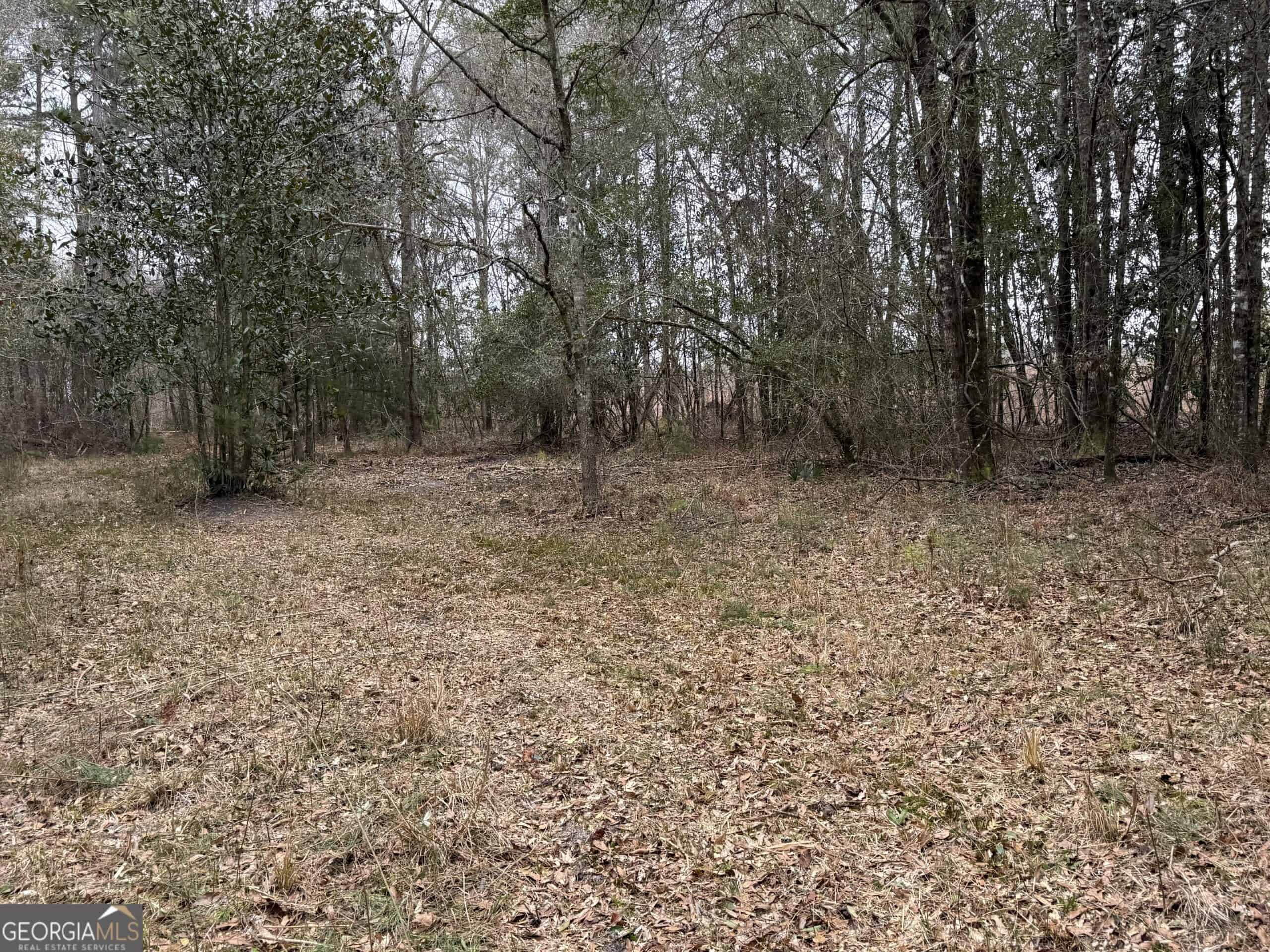 114.62 Acres | Lee County, Georgia Income-Producing Farmland & Hunting Tract