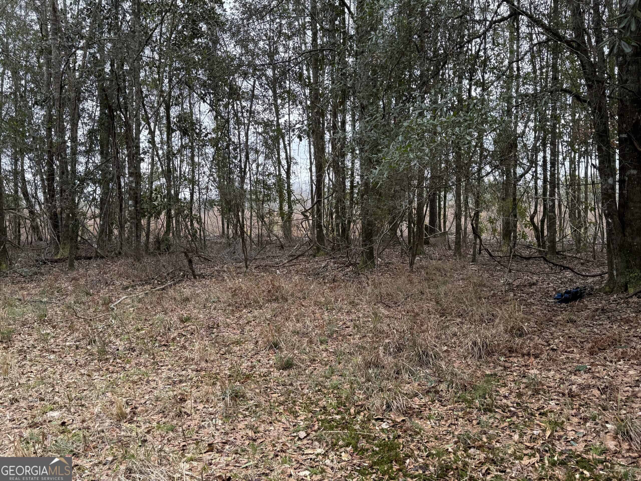114.62 Acres | Lee County, Georgia Income-Producing Farmland & Hunting Tract