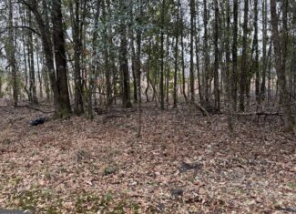 114.62 Acres | Lee County, Georgia Income-Producing Farmland & Hunting Tract