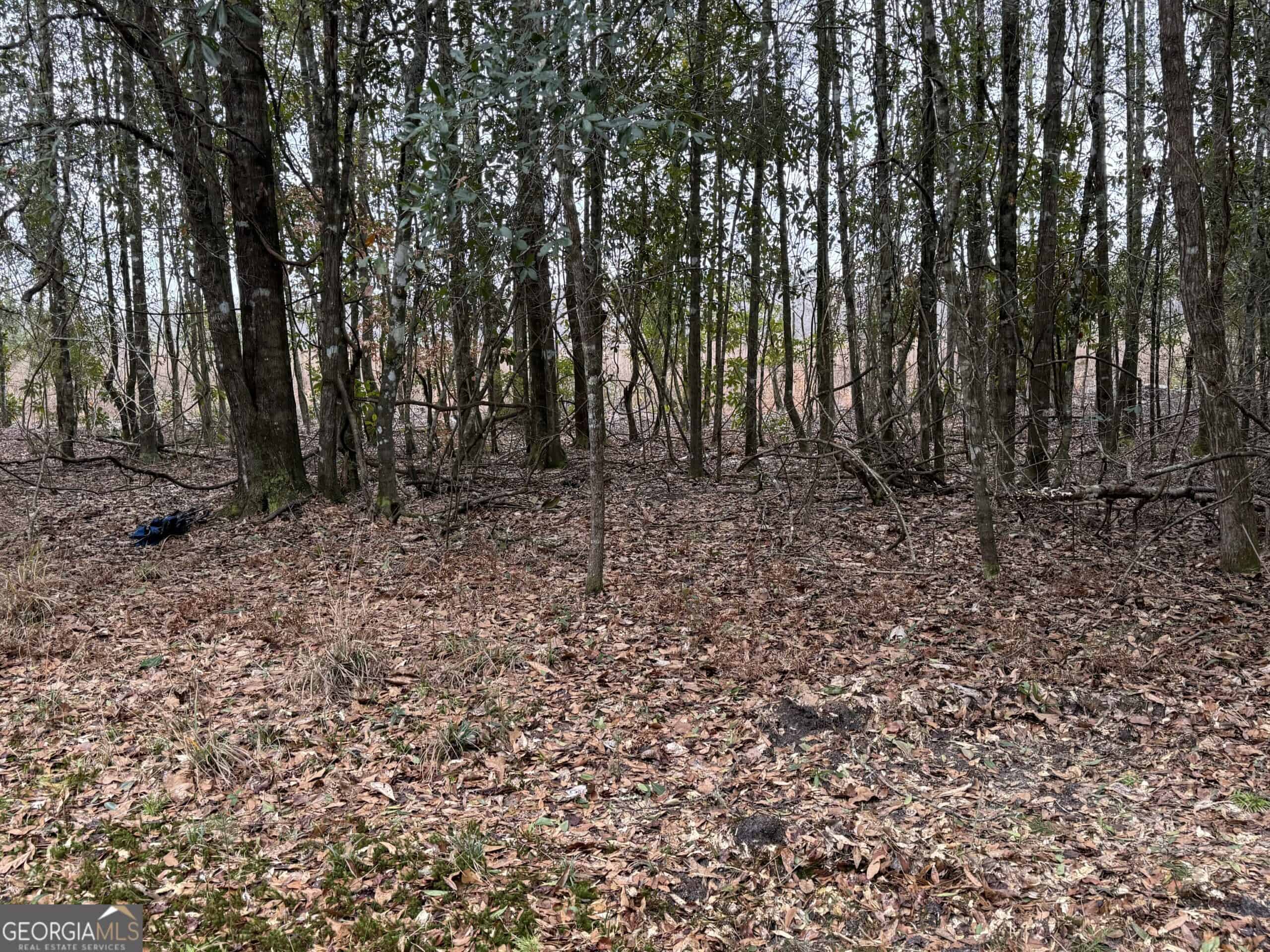 114.62 Acres | Lee County, Georgia Income-Producing Farmland & Hunting Tract
