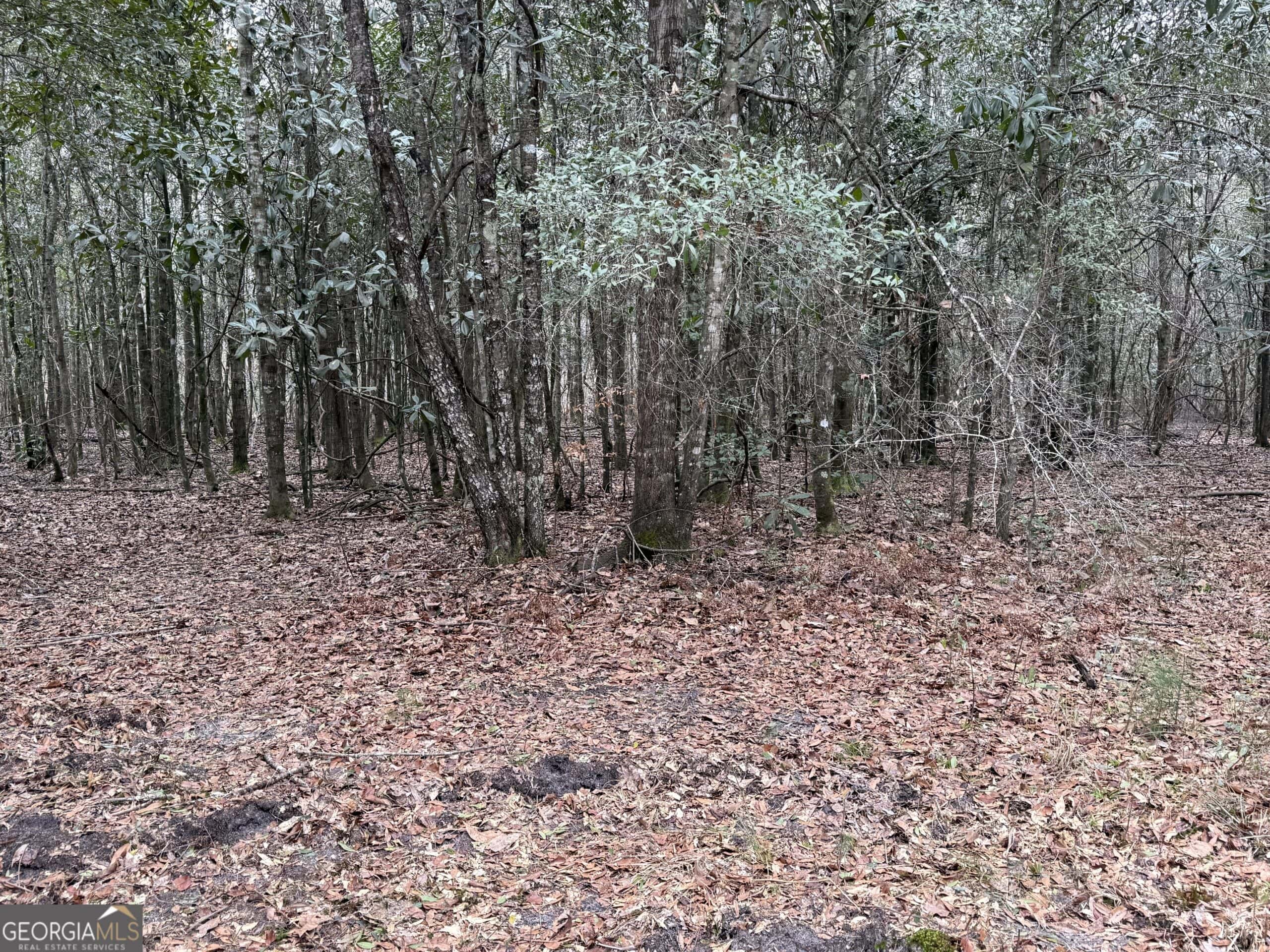 114.62 Acres | Lee County, Georgia Income-Producing Farmland & Hunting Tract