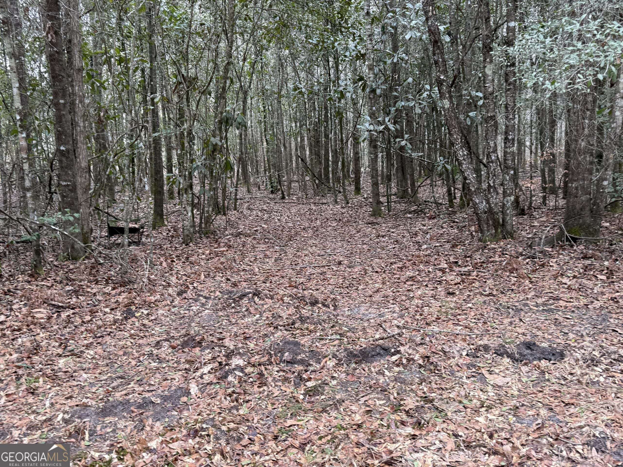 114.62 Acres | Lee County, Georgia Income-Producing Farmland & Hunting Tract