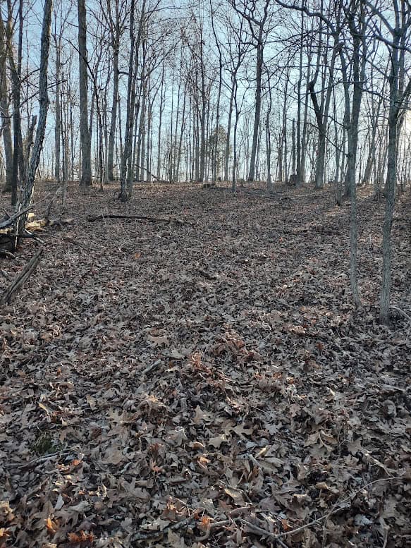 Shannon Cnty Mo Vacant Wooded Hunting Land For Sale near Eminence