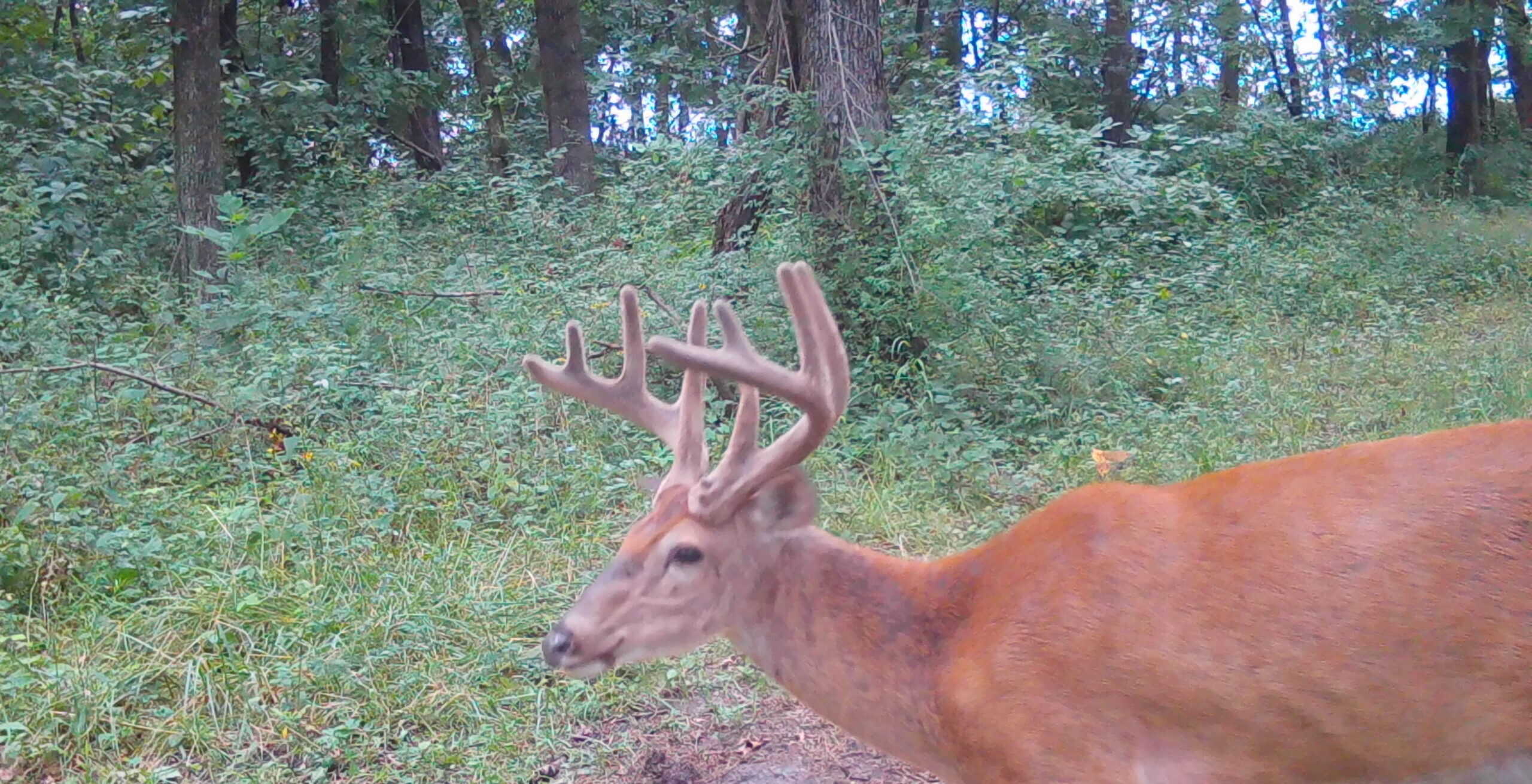 Prime Hunting and Income Property in Clark County, MO