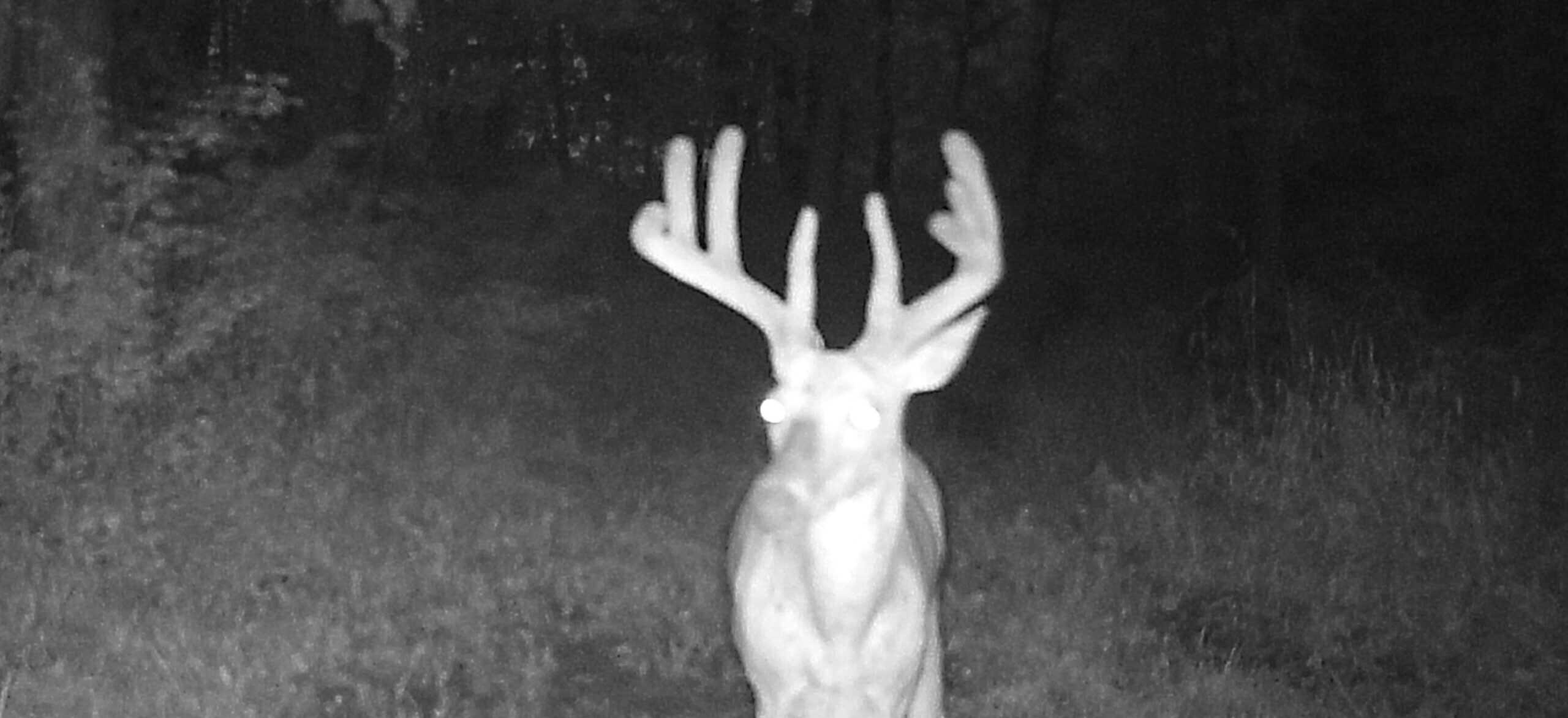 66-Acre Hunting Property in Northwest Clark County, Missouri