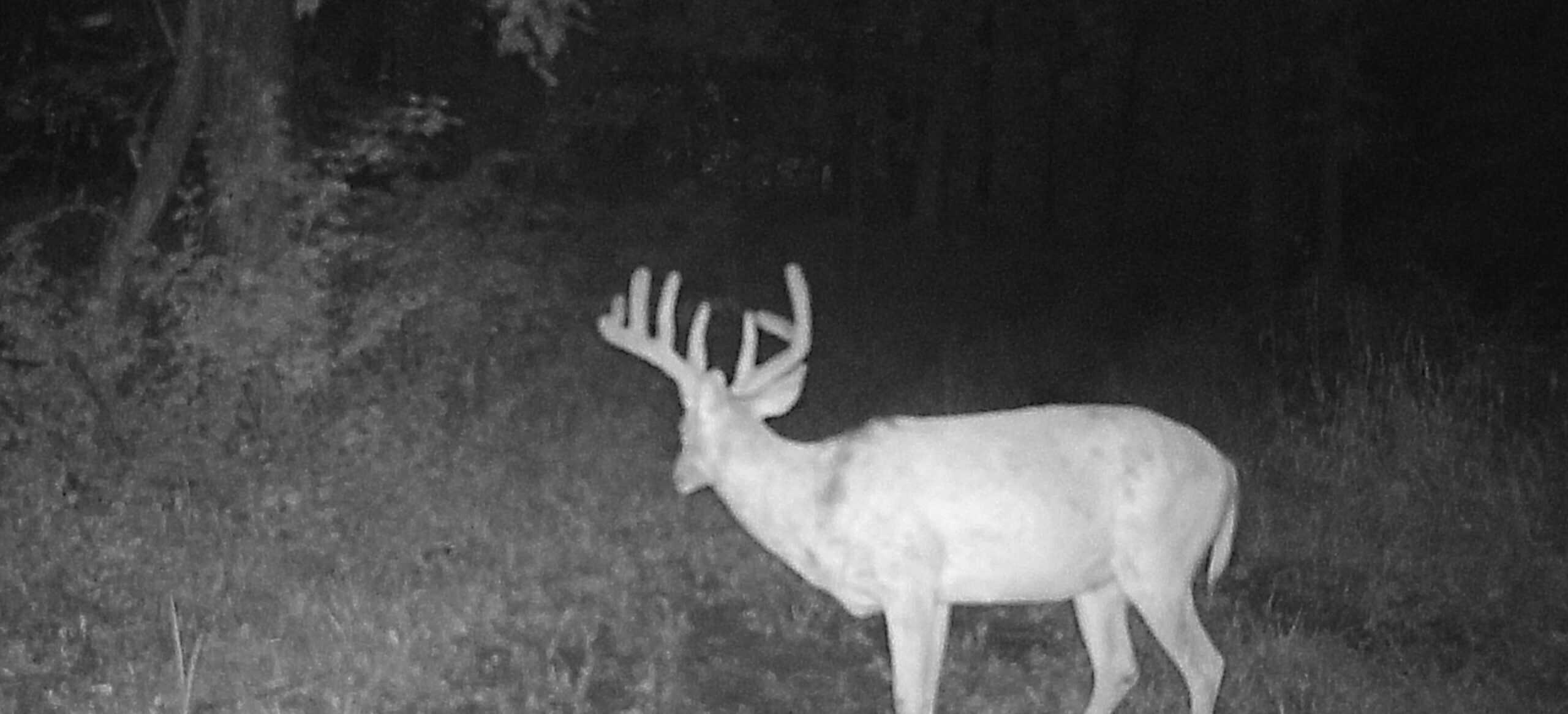 66-Acre Hunting Property in Northwest Clark County, Missouri