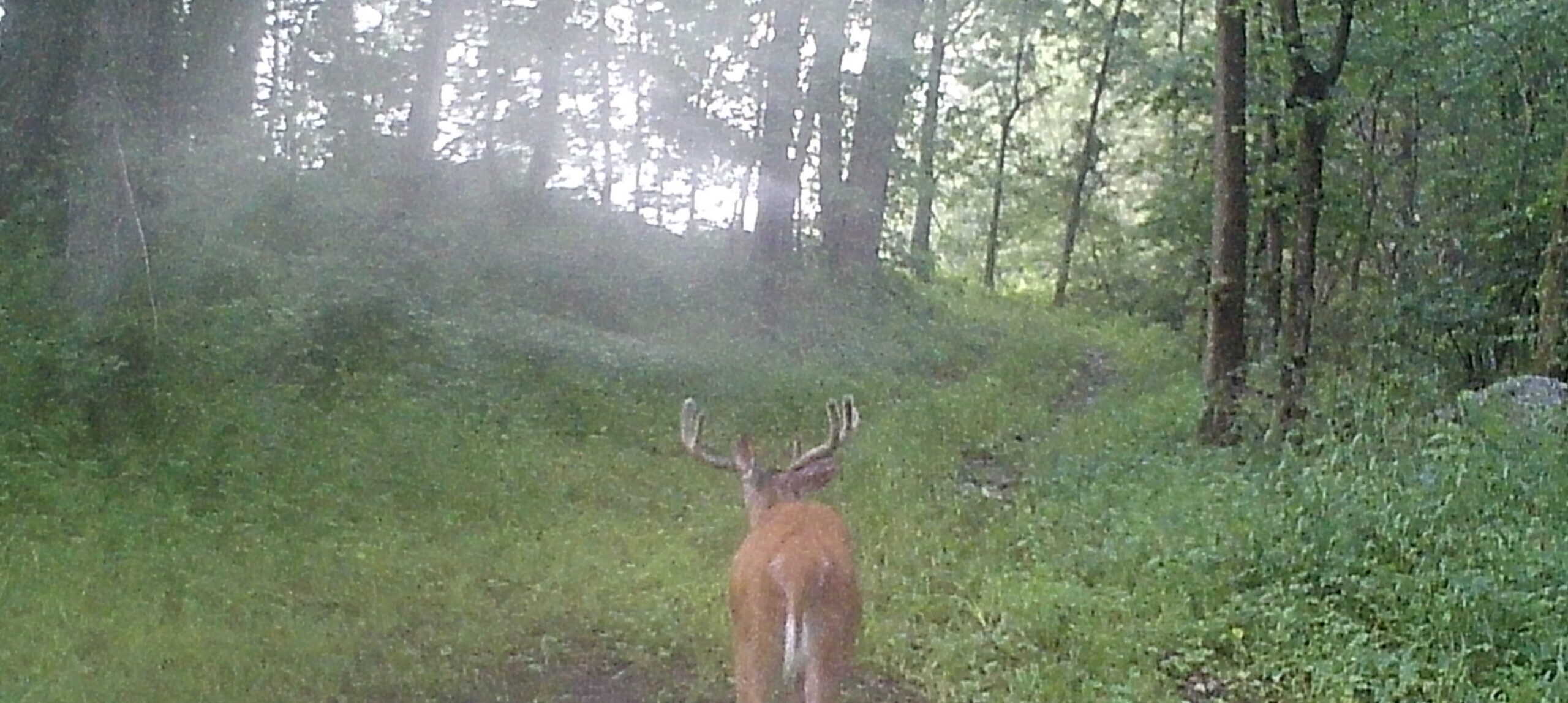 Premier Hunting Parcel in Clark County, Missouri