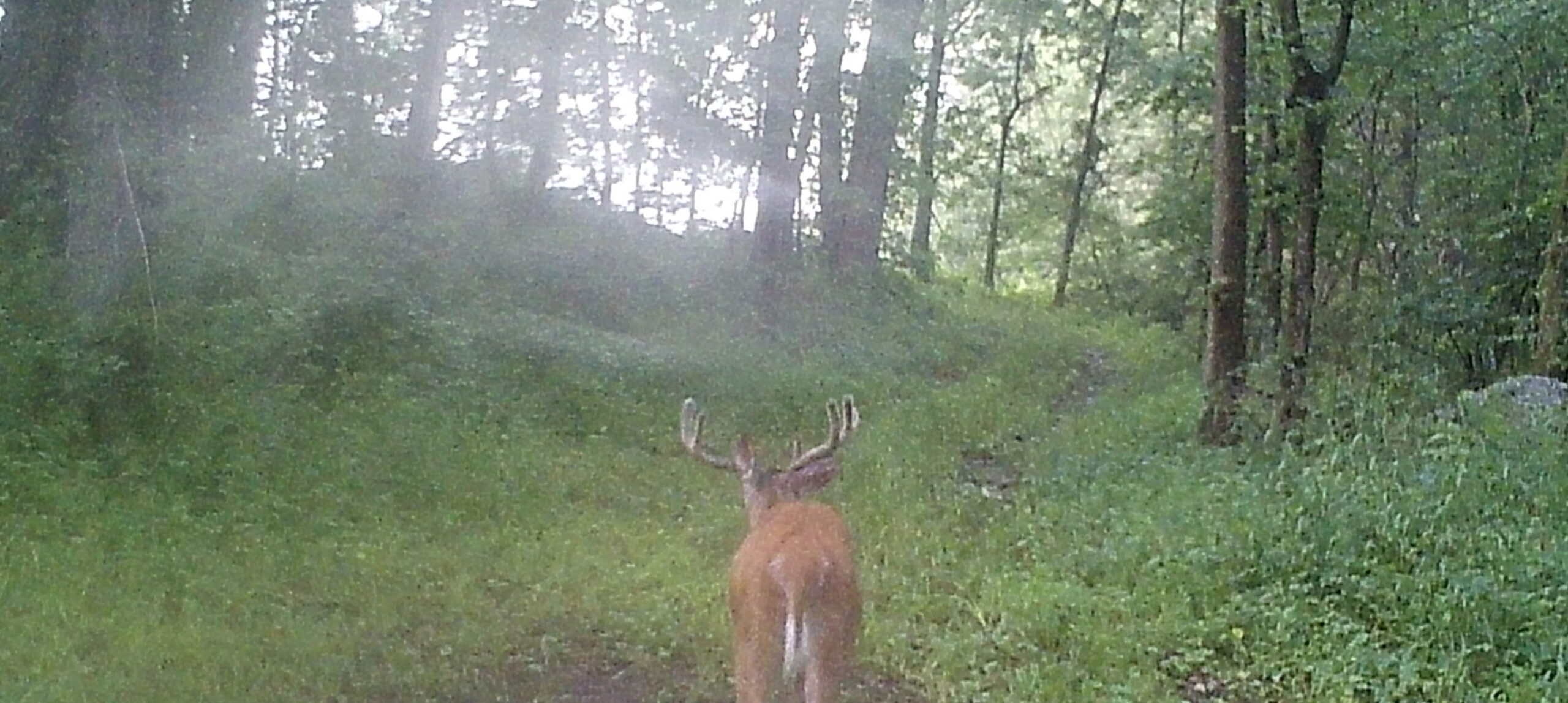 Prime Hunting and Income Property in Clark County, MO