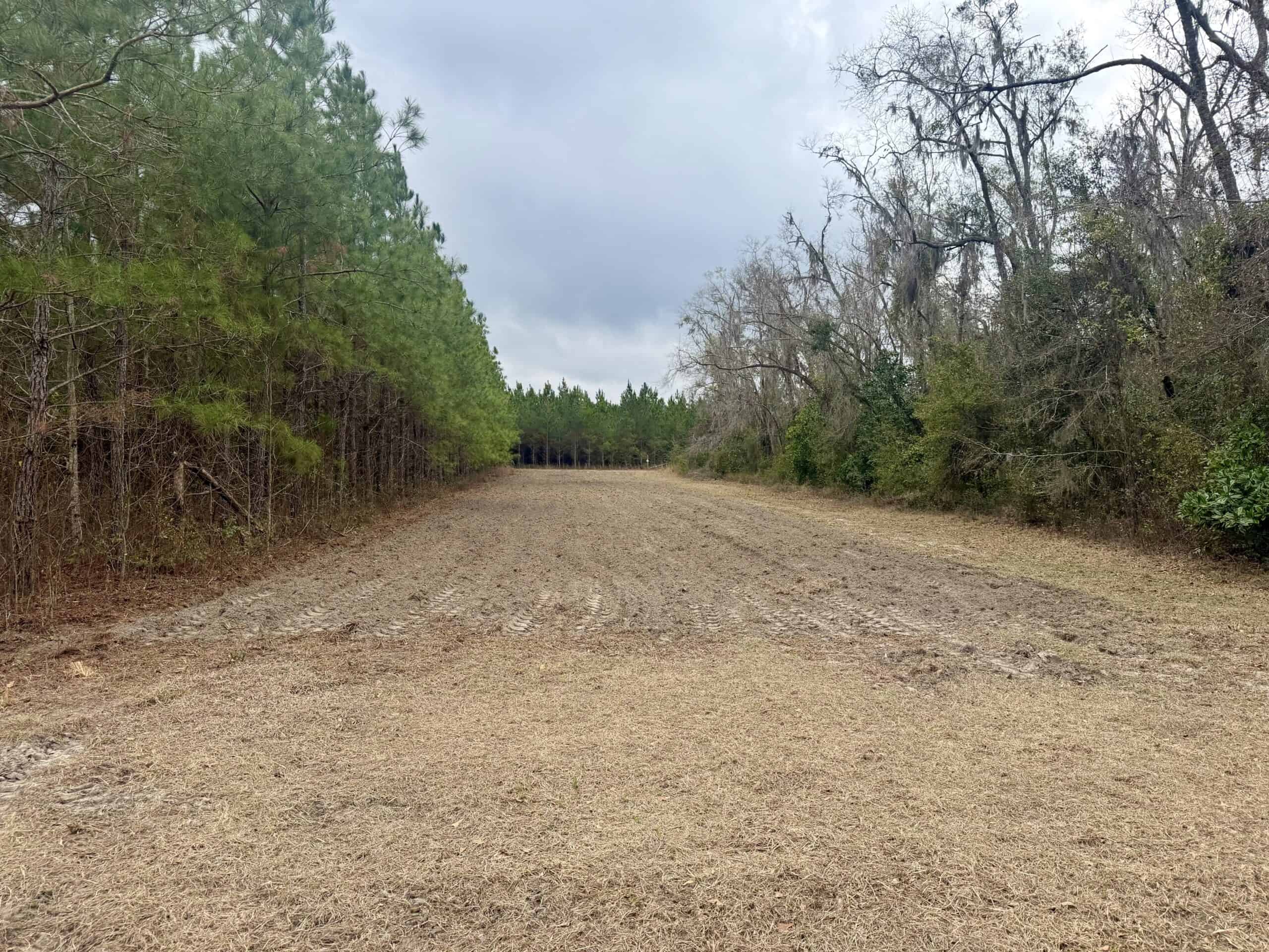 160 Acres Madison FL | Sustainable Timber Income & Trophy Hunting