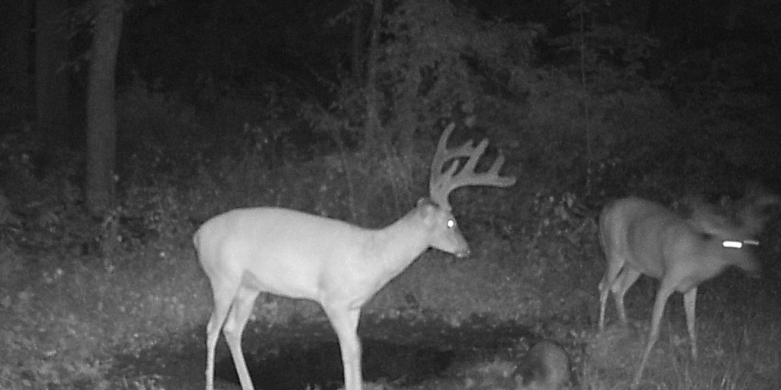 66-Acre Hunting Property in Northwest Clark County, Missouri