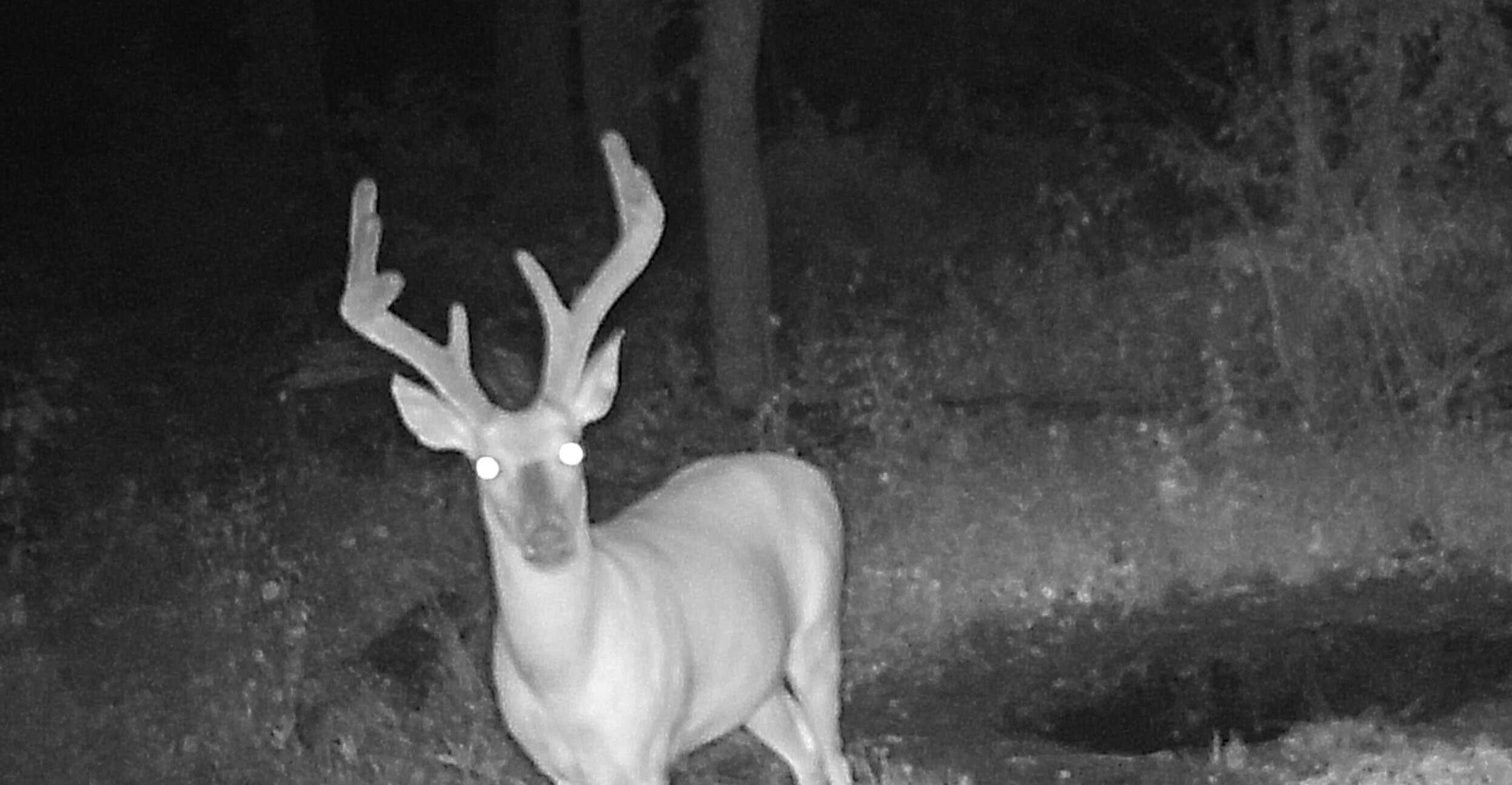 Premier Hunting Parcel in Clark County, Missouri