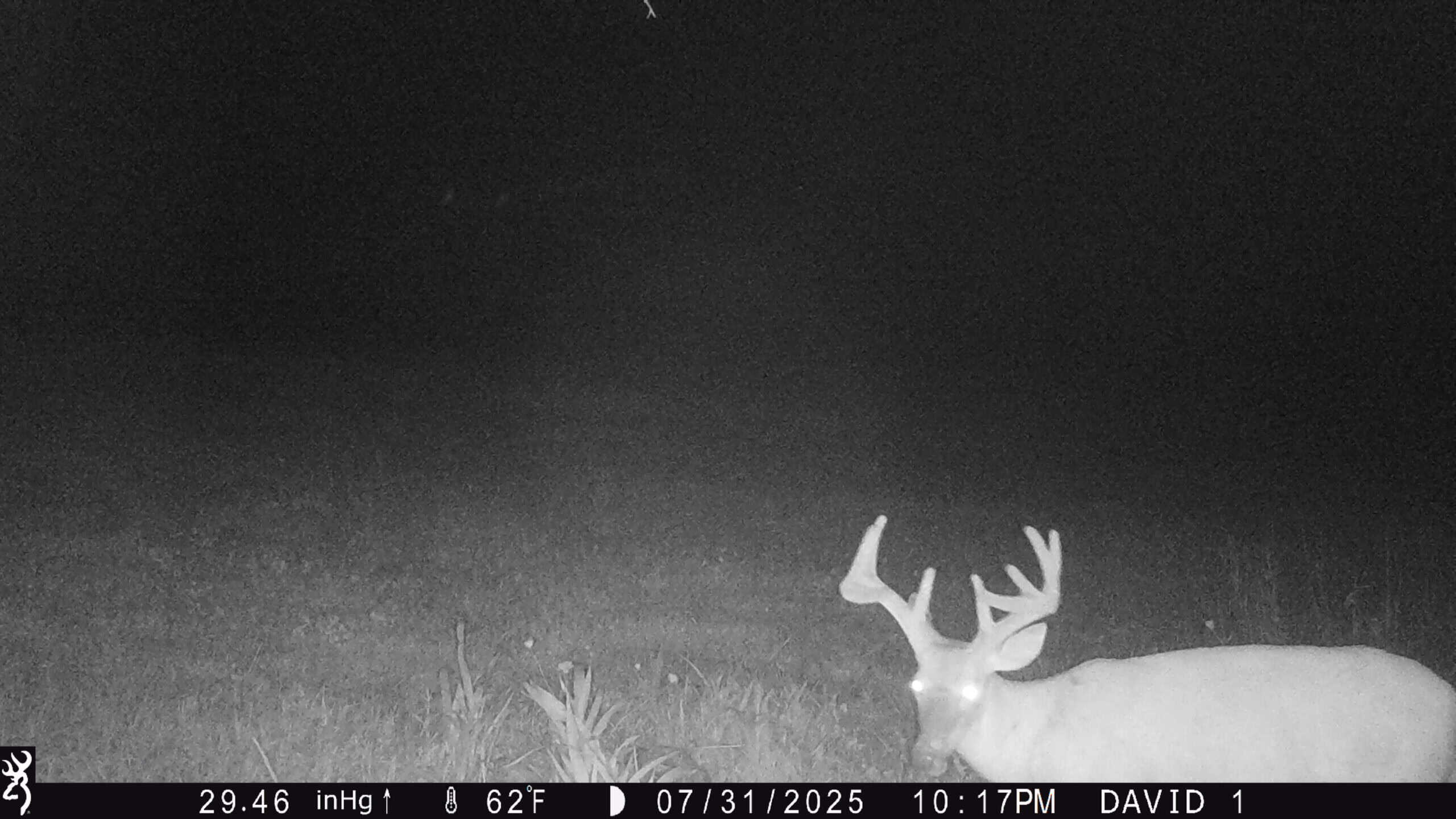 66-Acre Hunting Property in Northwest Clark County, Missouri