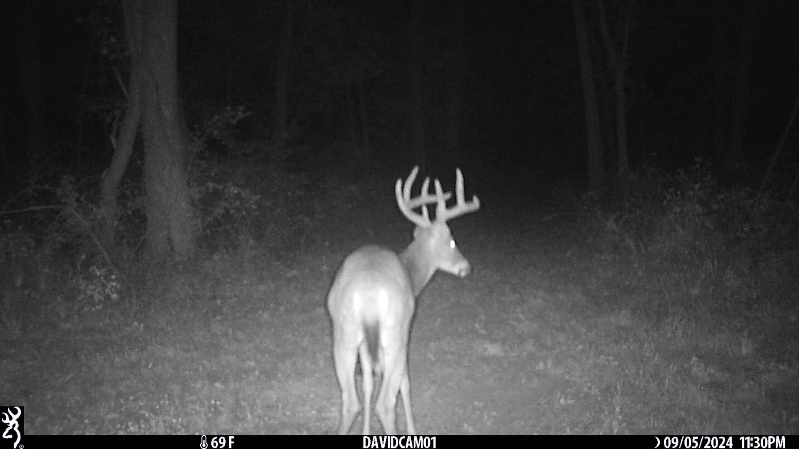 Exceptional Whitetail and Turkey Hunting Paradise in Clark County