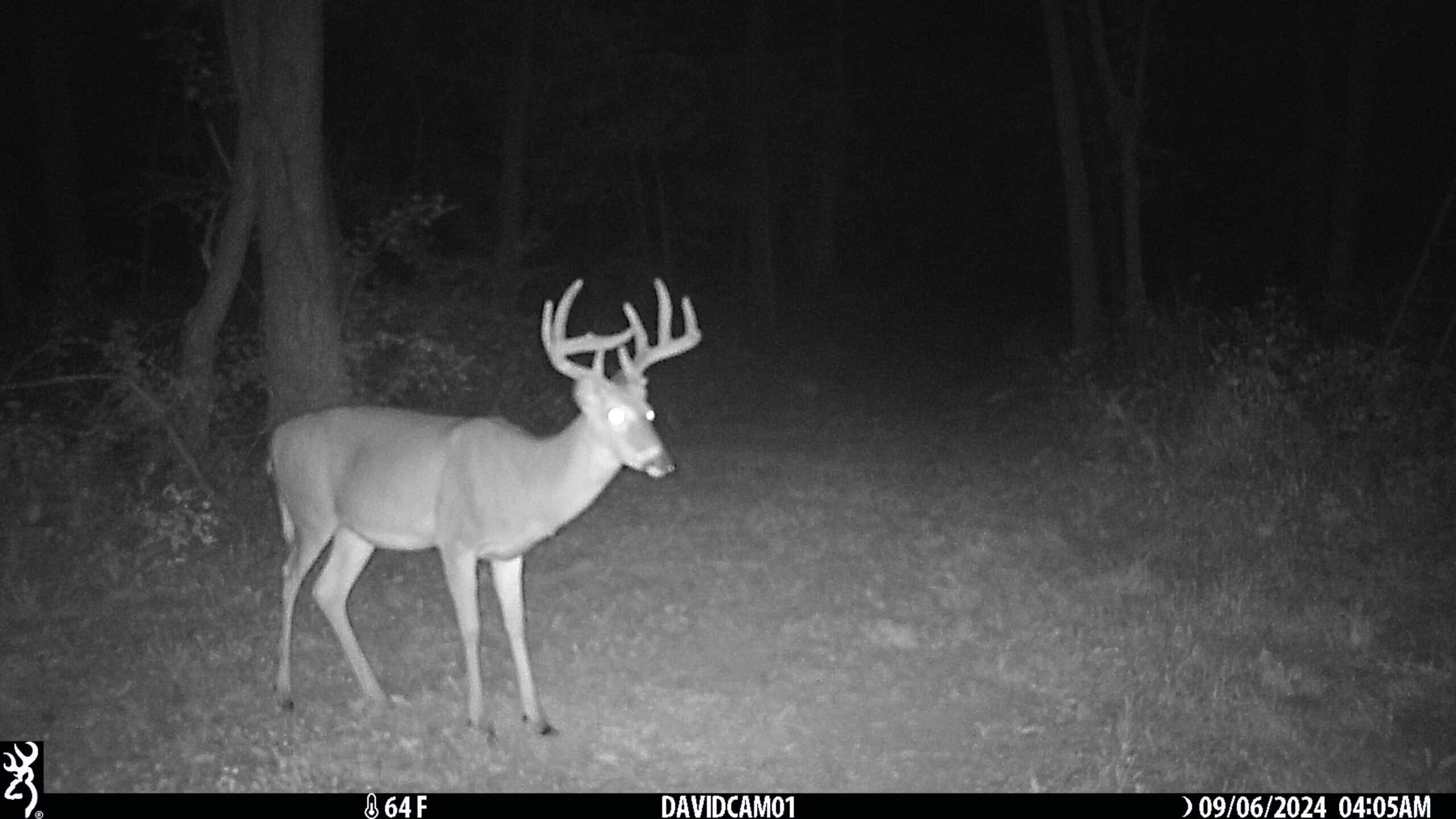 Prime Hunting and Income Property in Clark County, MO