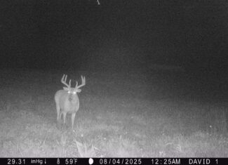 Prime Hunting and Income Property in Clark County, MO