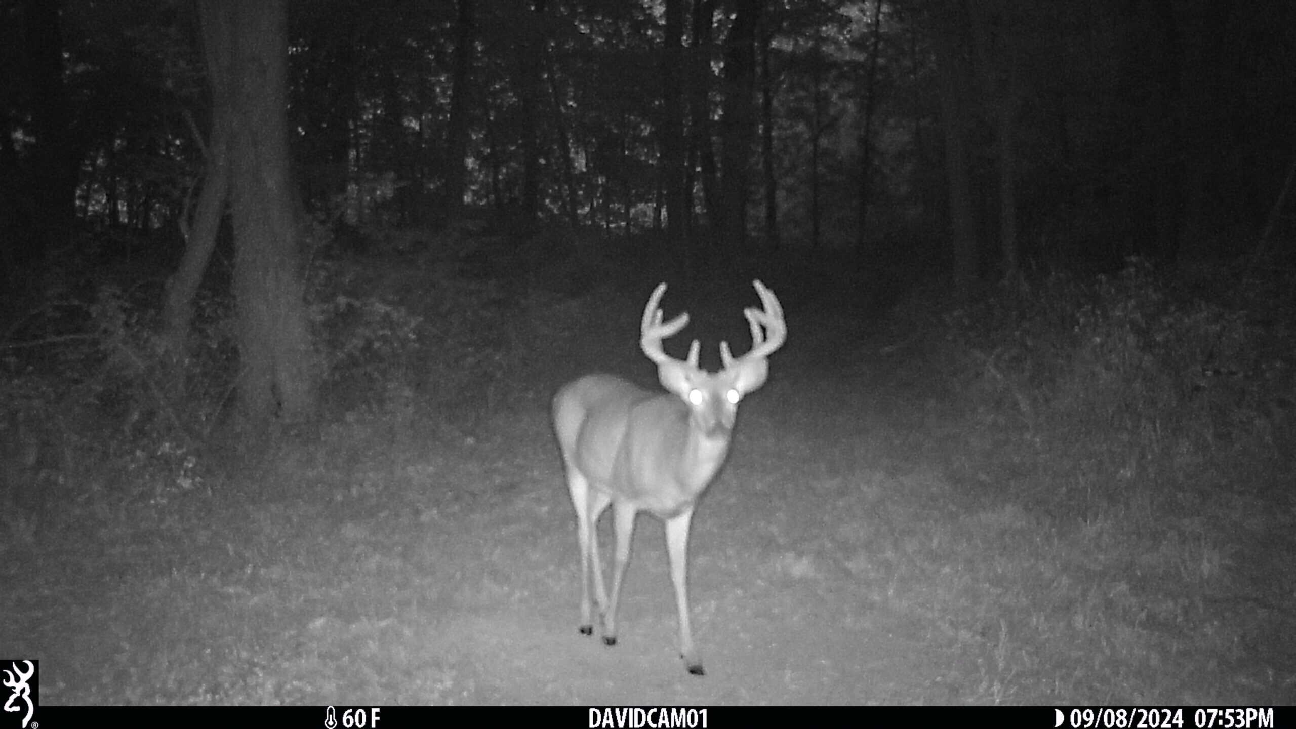 Premier Hunting Parcel in Clark County, Missouri
