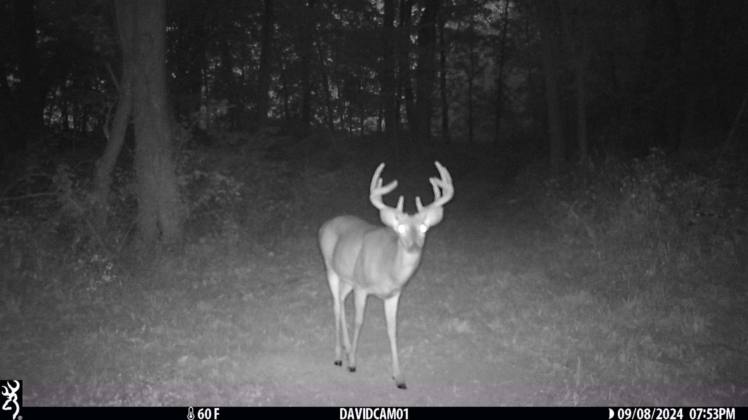 Prime Hunting and Income Property in Clark County, MO