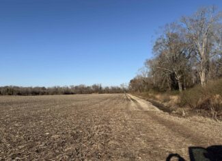43-Acre Hunting & Farm Land Near Pungo Refuge on Hwy 45