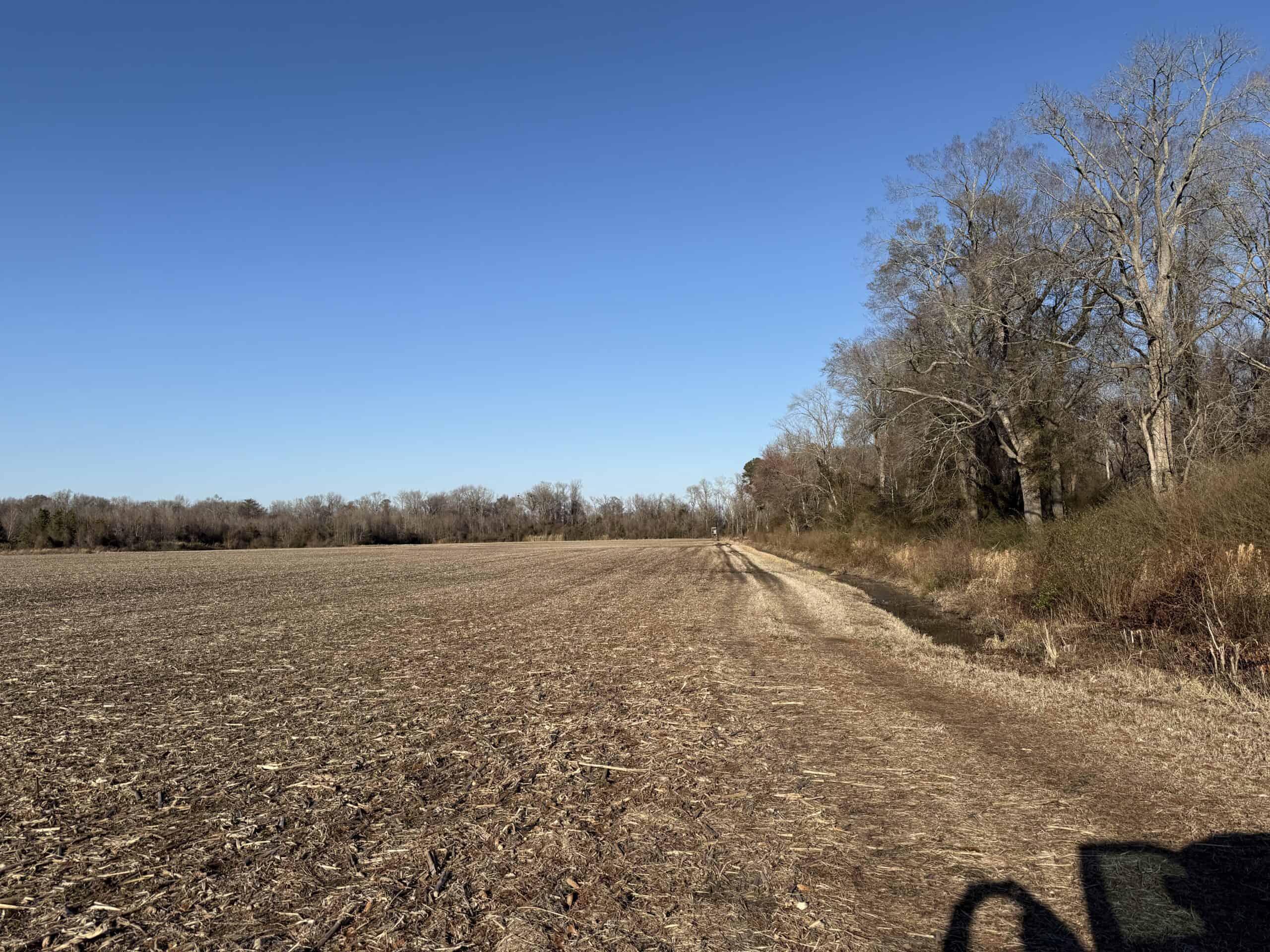 43-Acre Hunting & Farm Land Near Pungo Refuge on Hwy 45